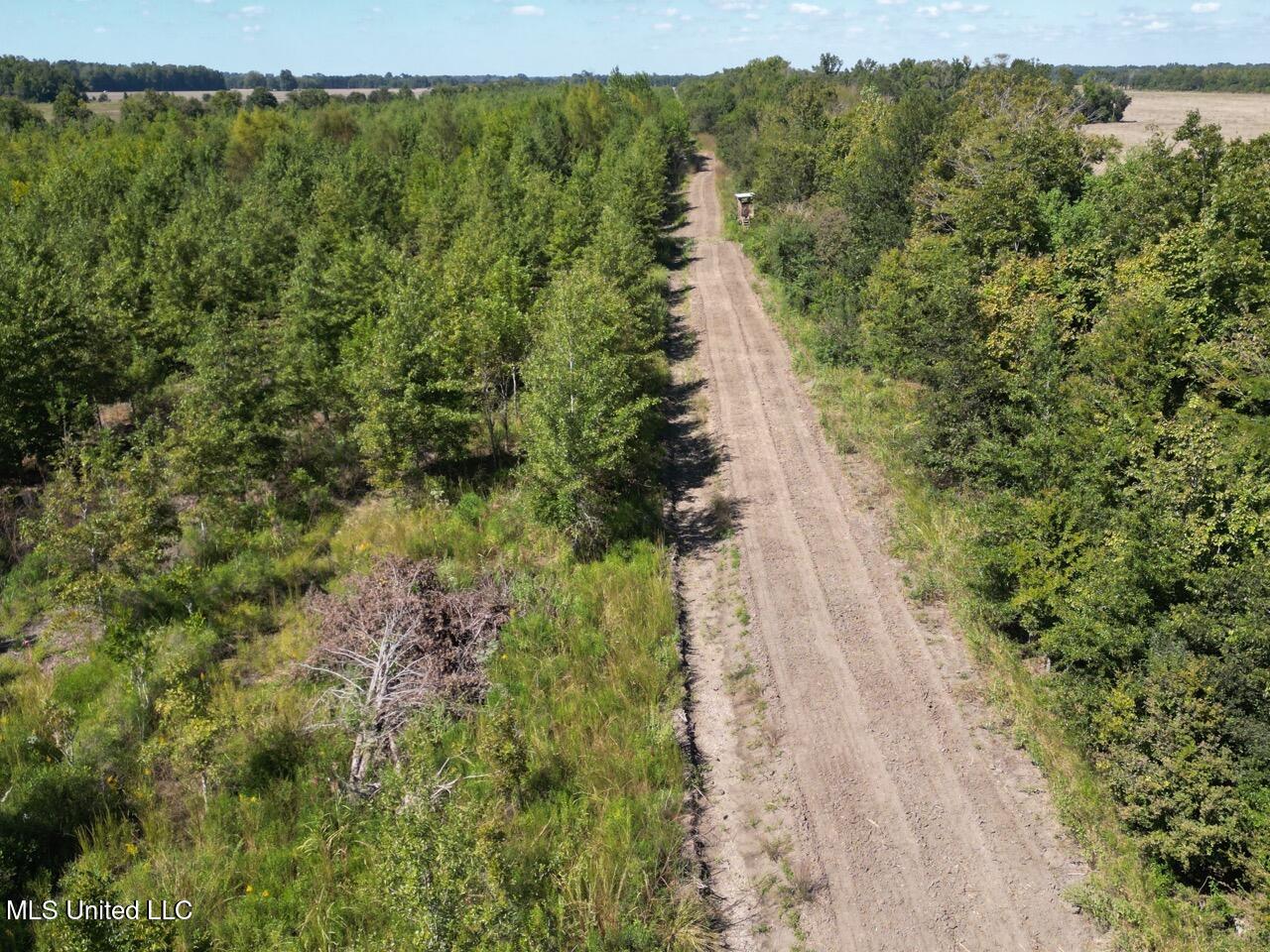 1195 Highway 570 Property Photo 4