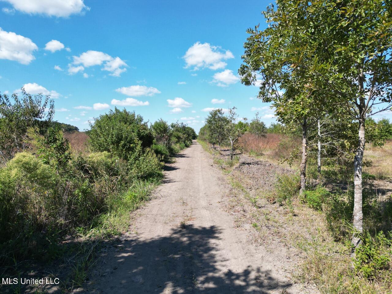 1195 Highway 570 Property Photo 6