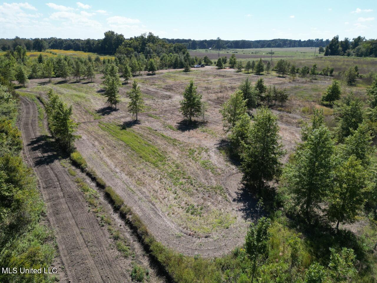 1195 Highway 570 Property Photo 7