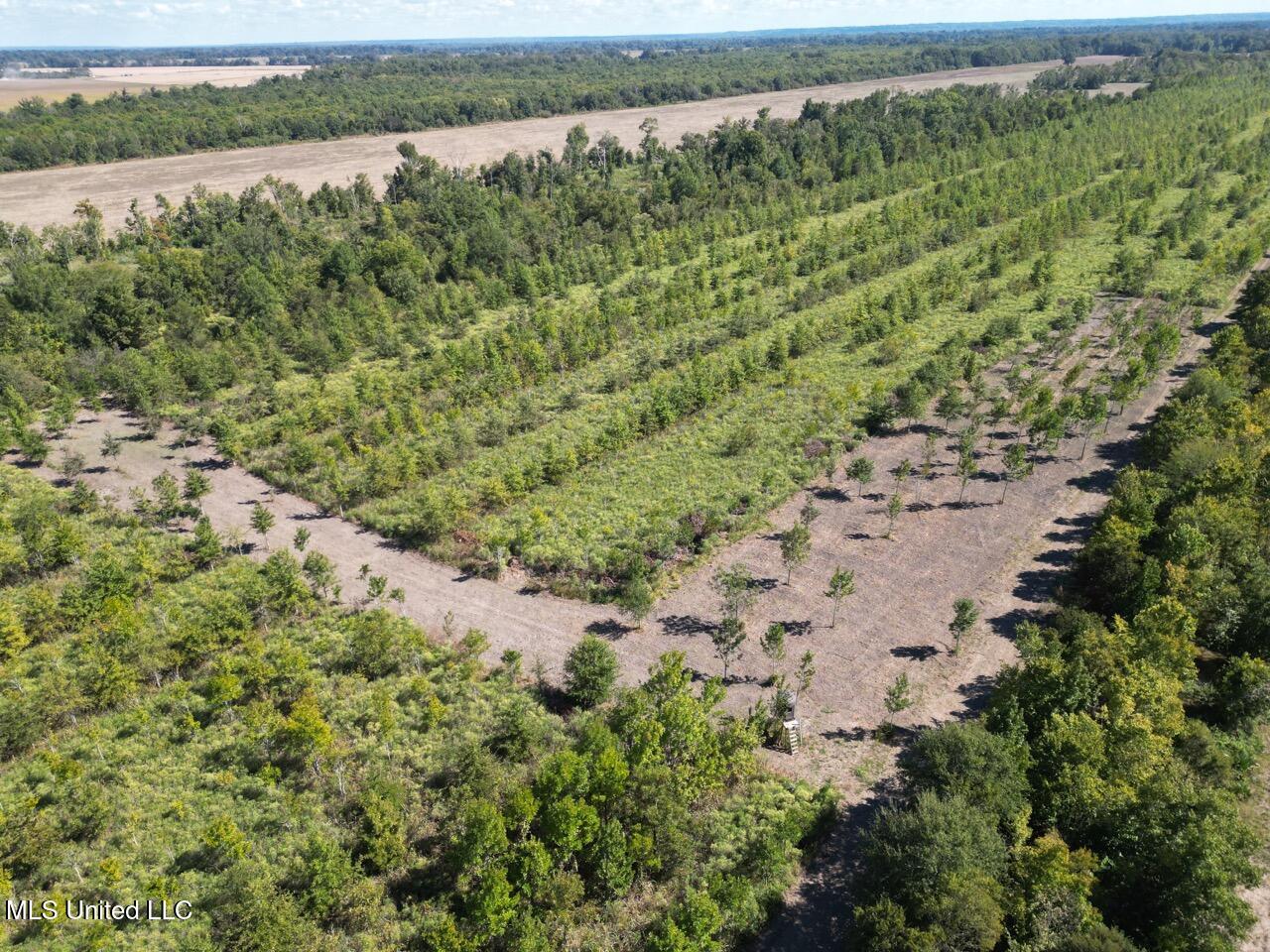 1195 Highway 570 Property Photo 8