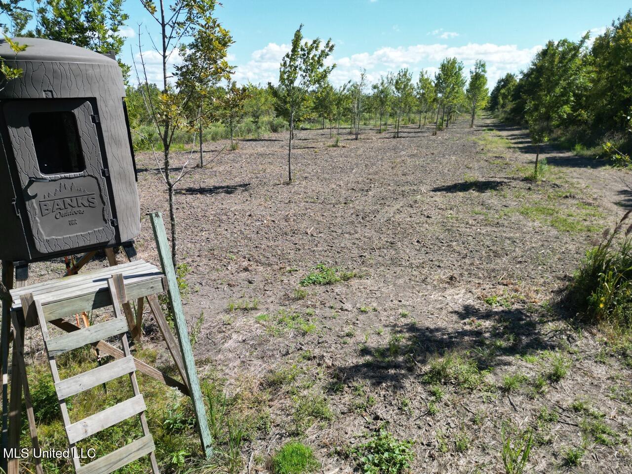 1195 Highway 570 Property Photo 10