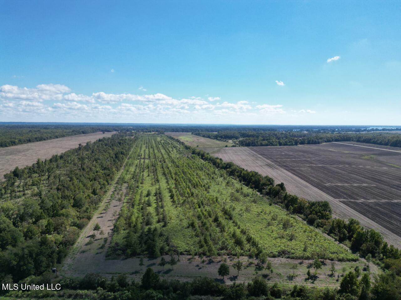 1195 Highway 570 Property Photo 11
