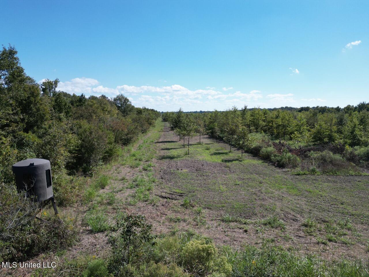 1195 Highway 570 Property Photo 12