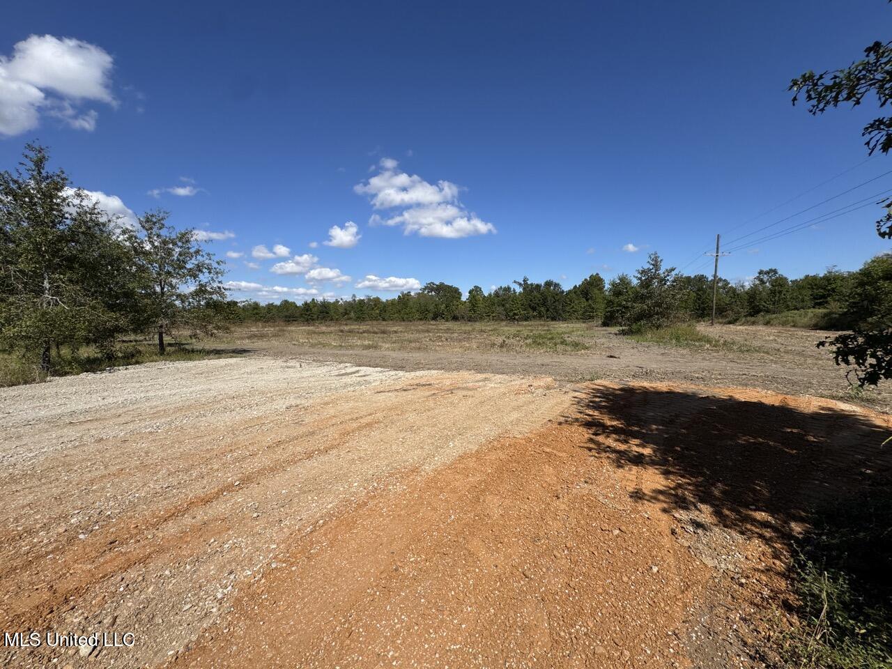 1195 Highway 570 Property Photo 19