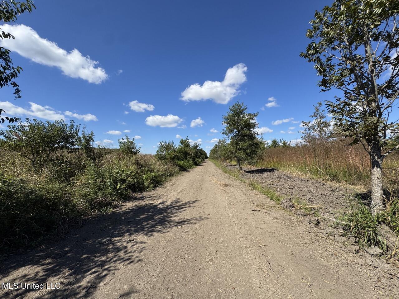 1195 Highway 570 Property Photo 20