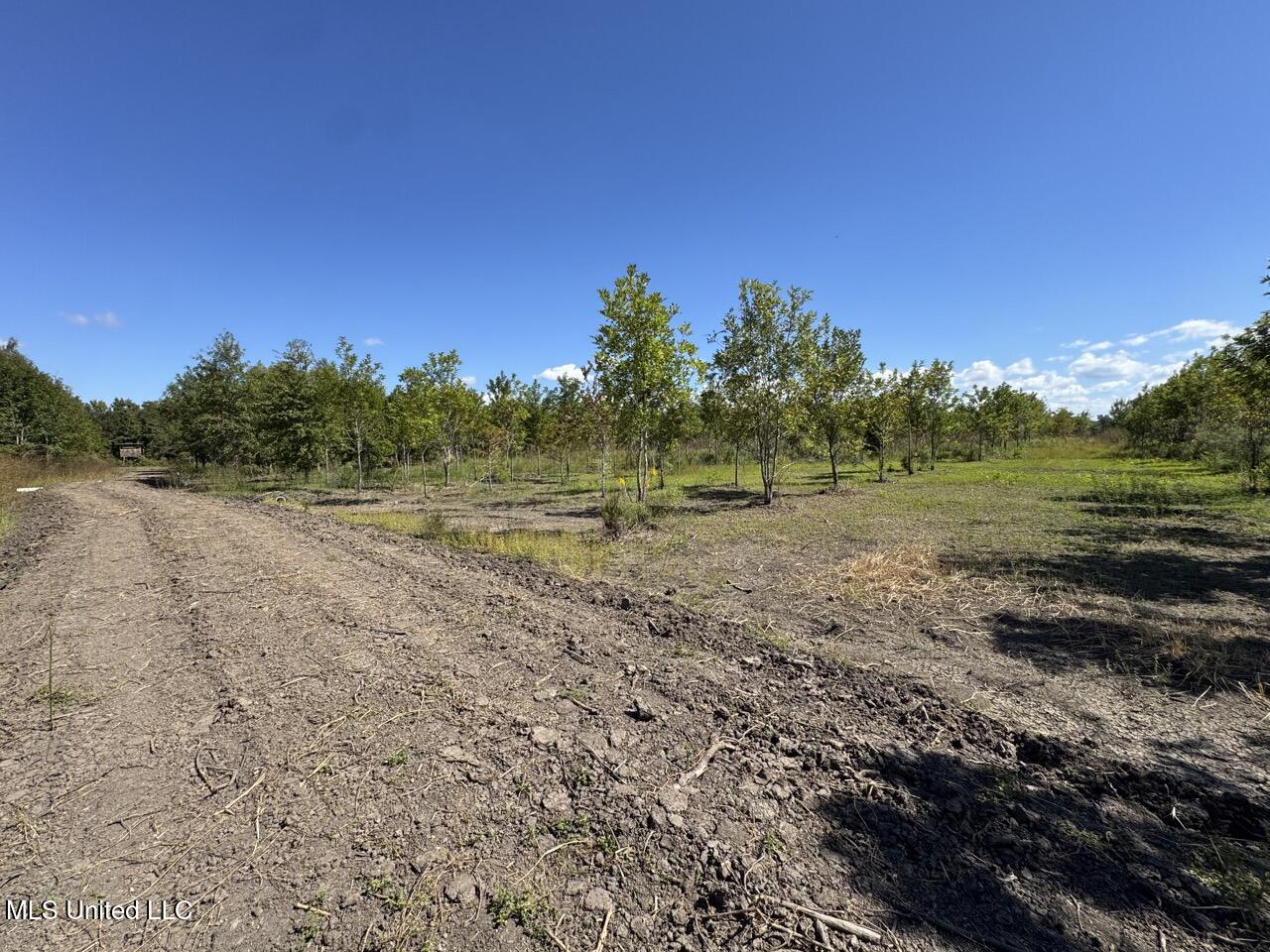 1195 Highway 570 Property Photo 22