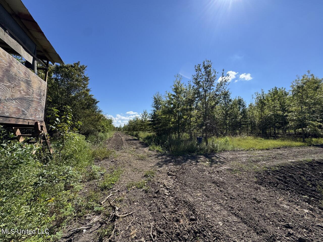 1195 Highway 570 Property Photo 24