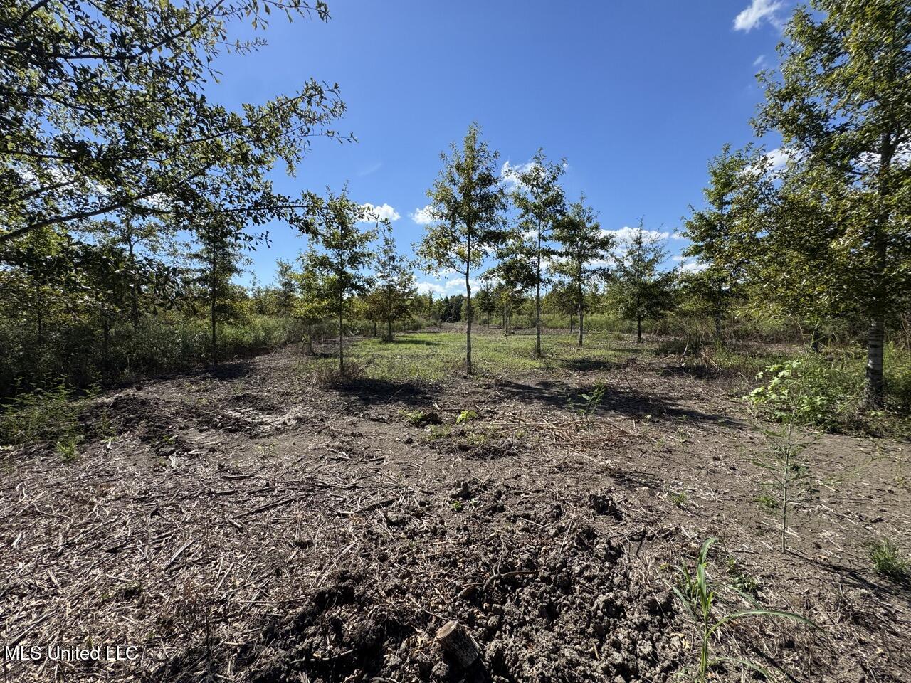 1195 Highway 570 Property Photo 25