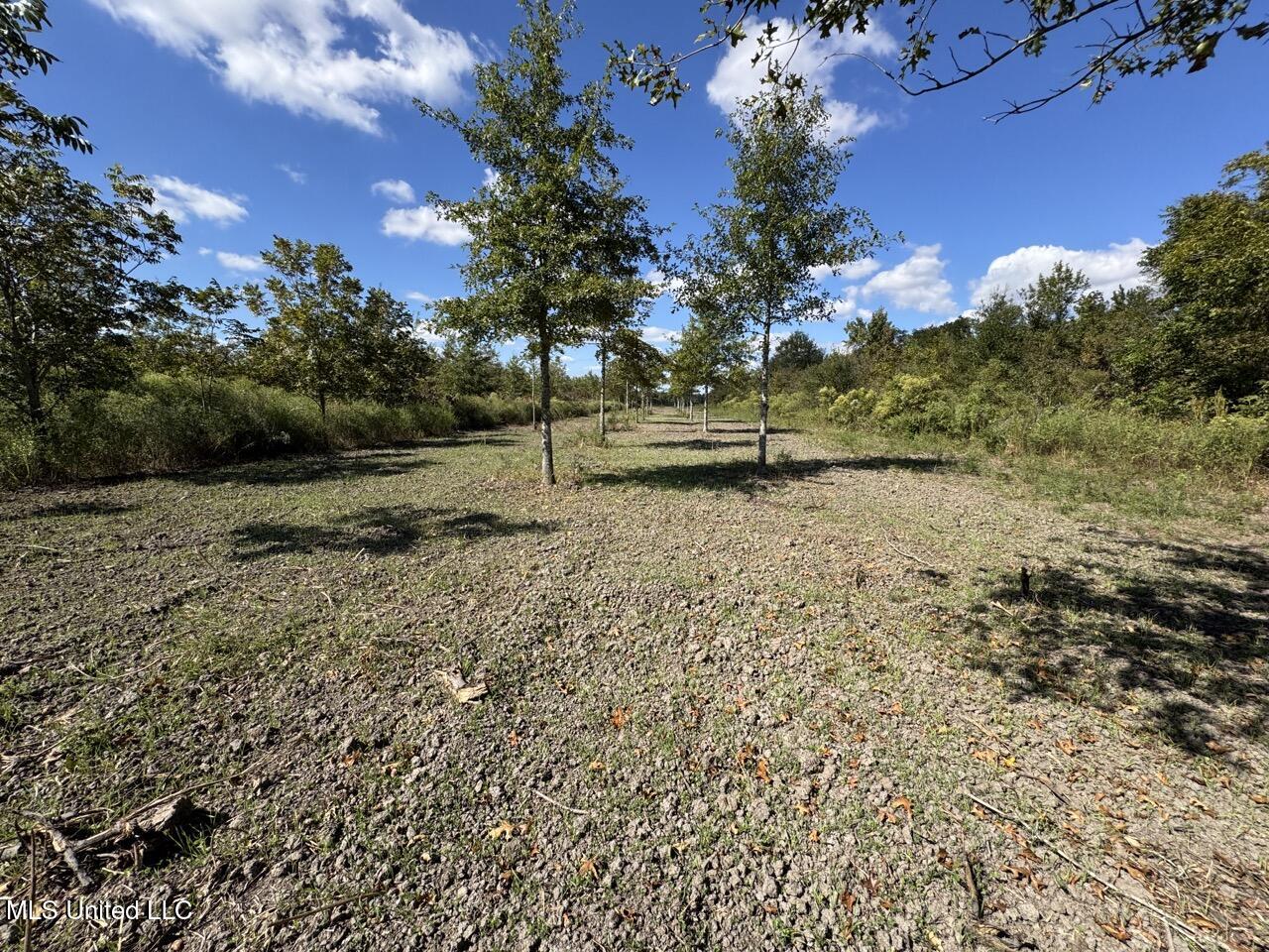 1195 Highway 570 Property Photo 26