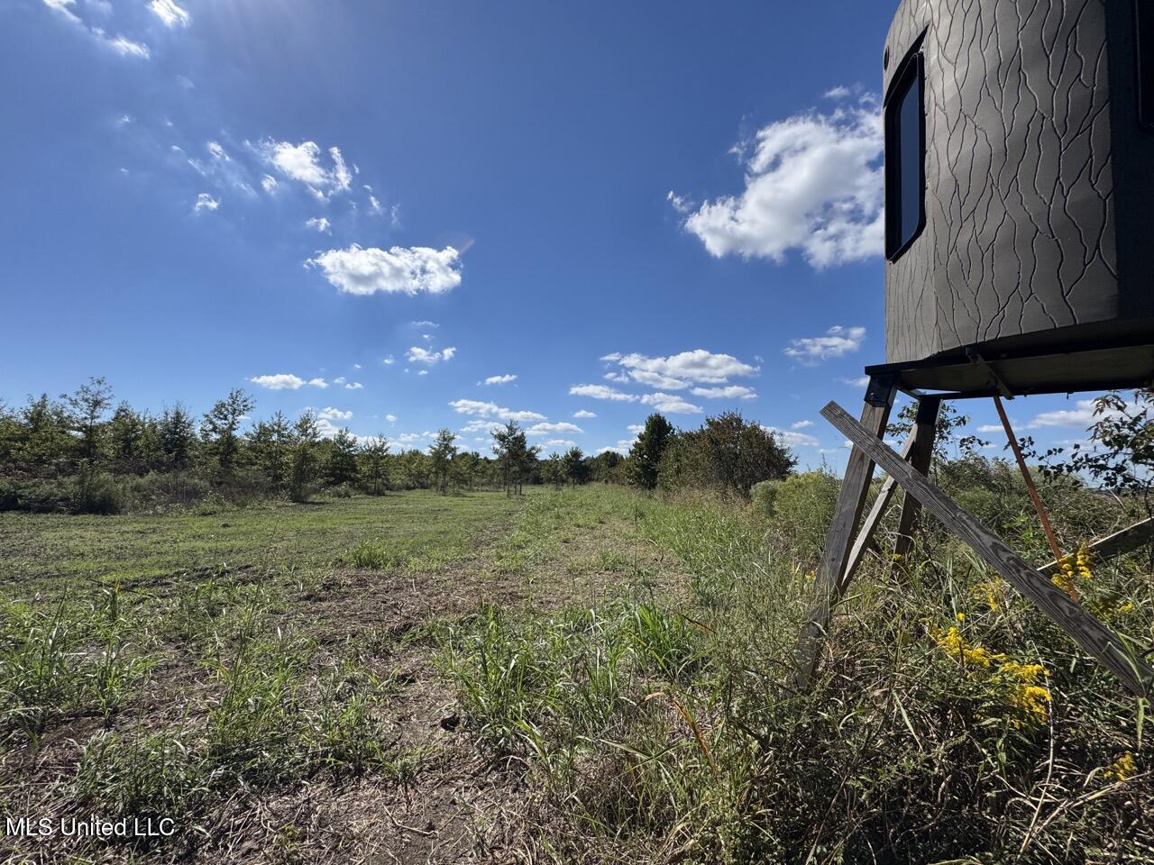 1195 Highway 570 Property Photo 27