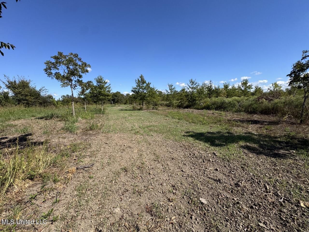1195 Highway 570 Property Photo 29
