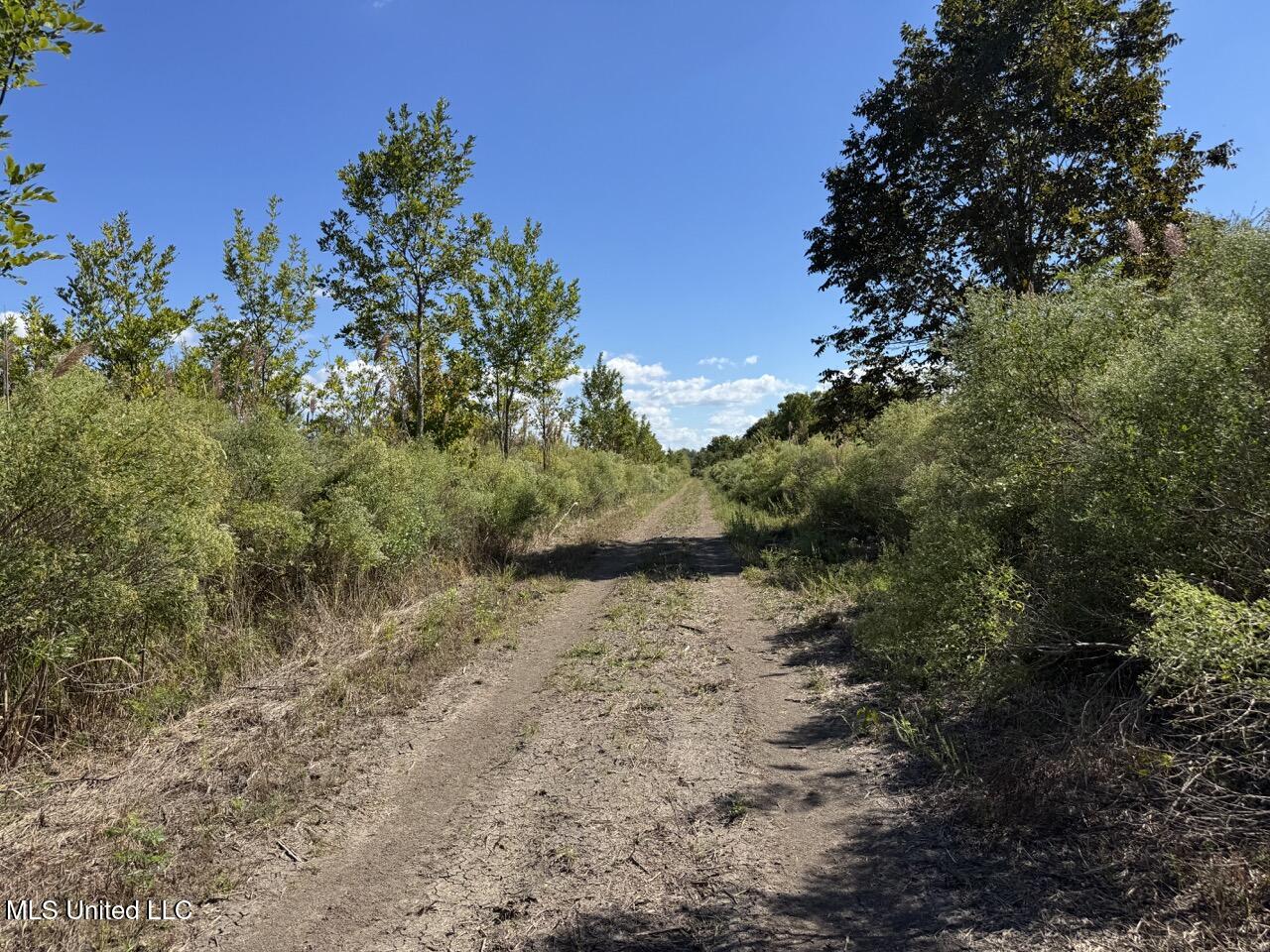 1195 Highway 570 Property Photo 30