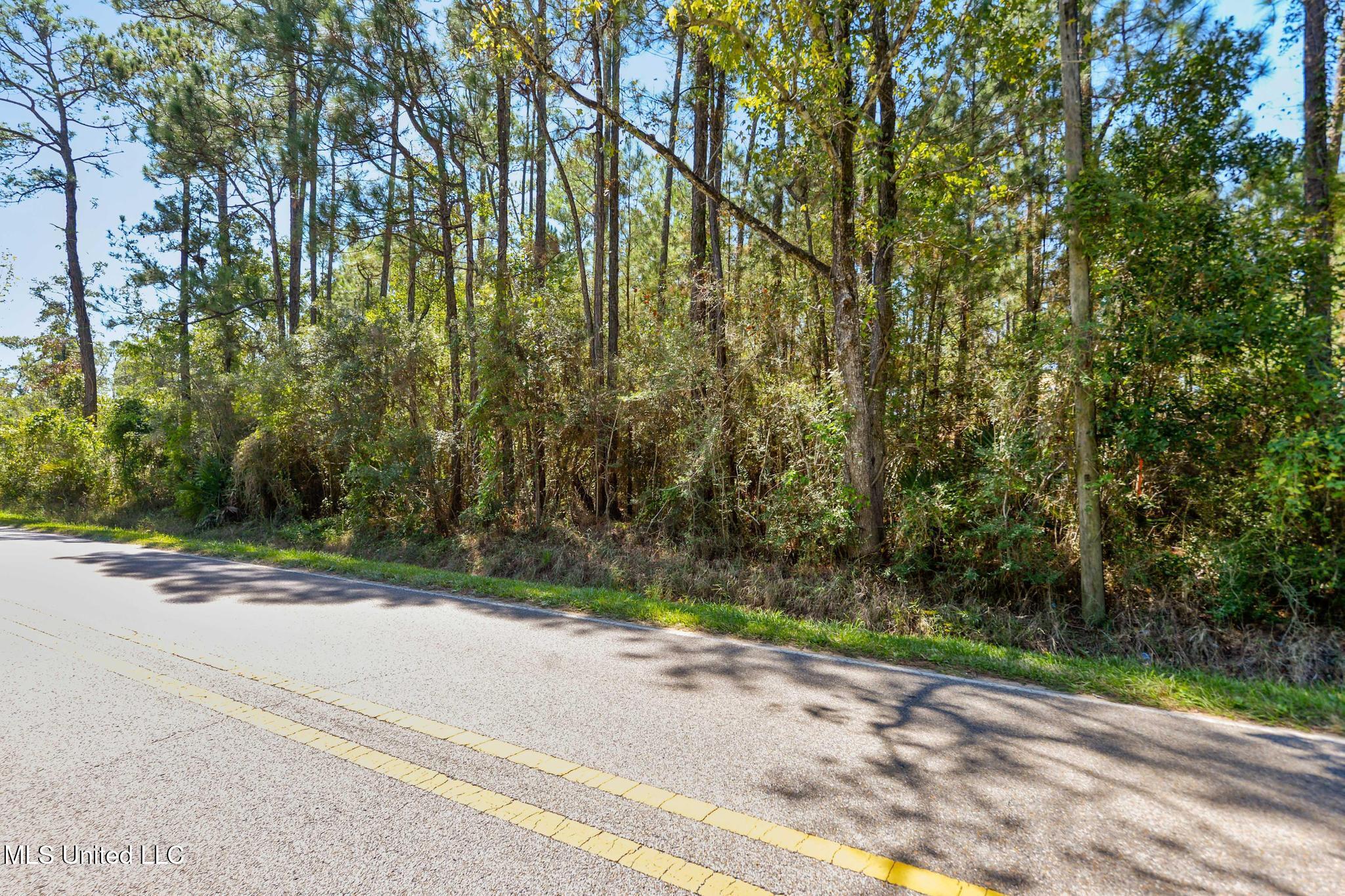 Henderson Avenue Property Photo 11