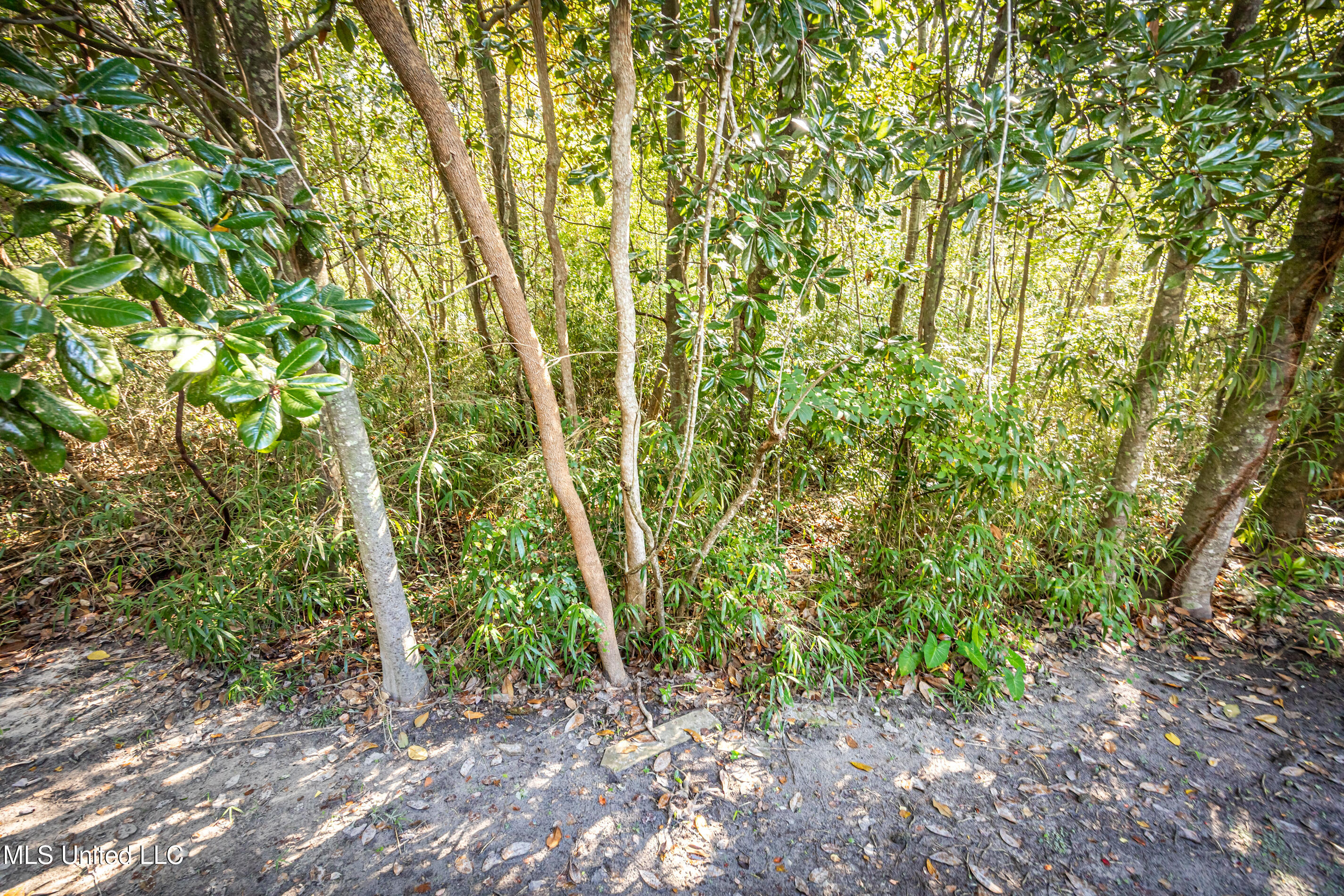 308 Lovers Lane Property Photo 87