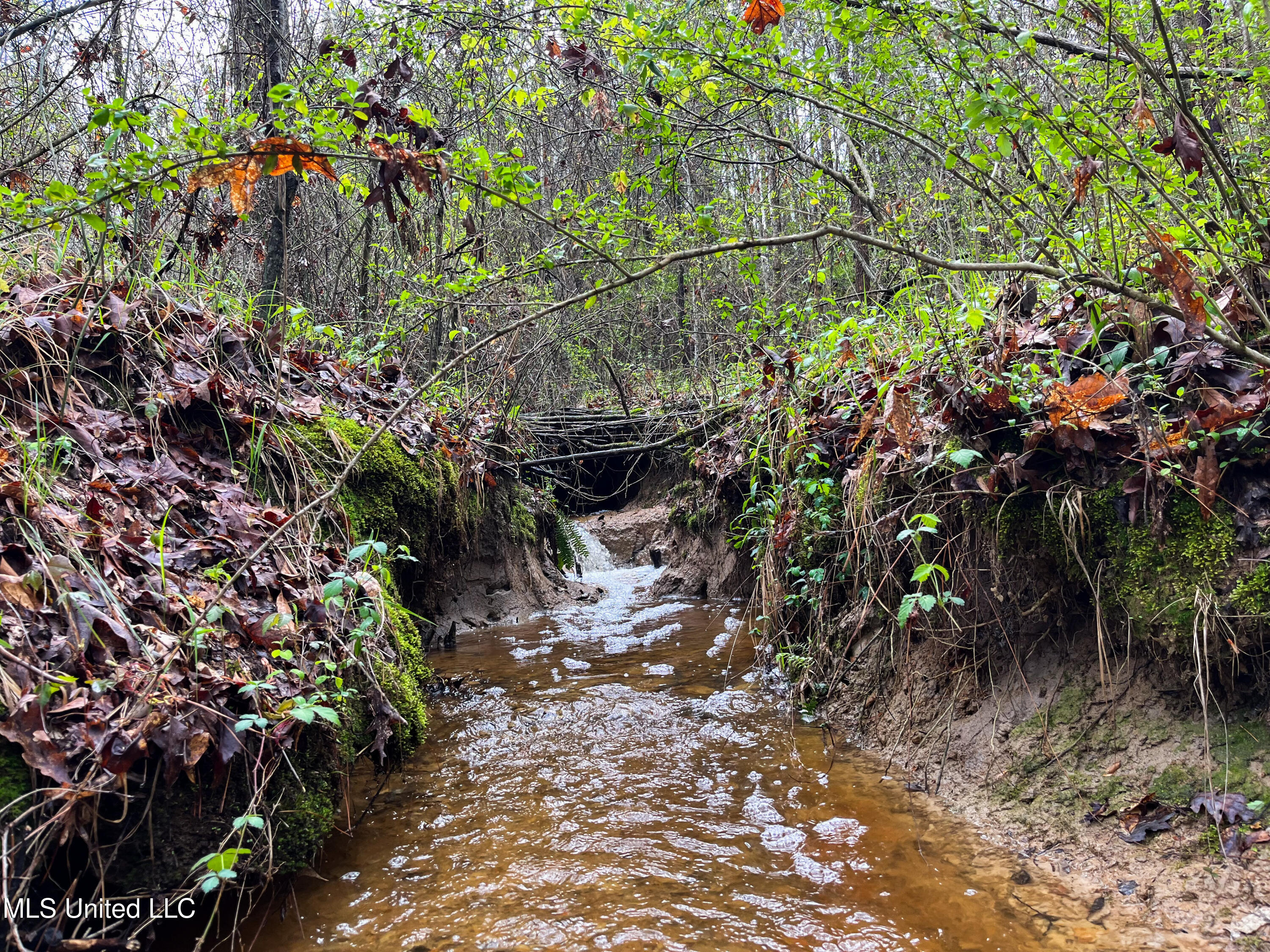 Pine Bluff Road Property Photo 2