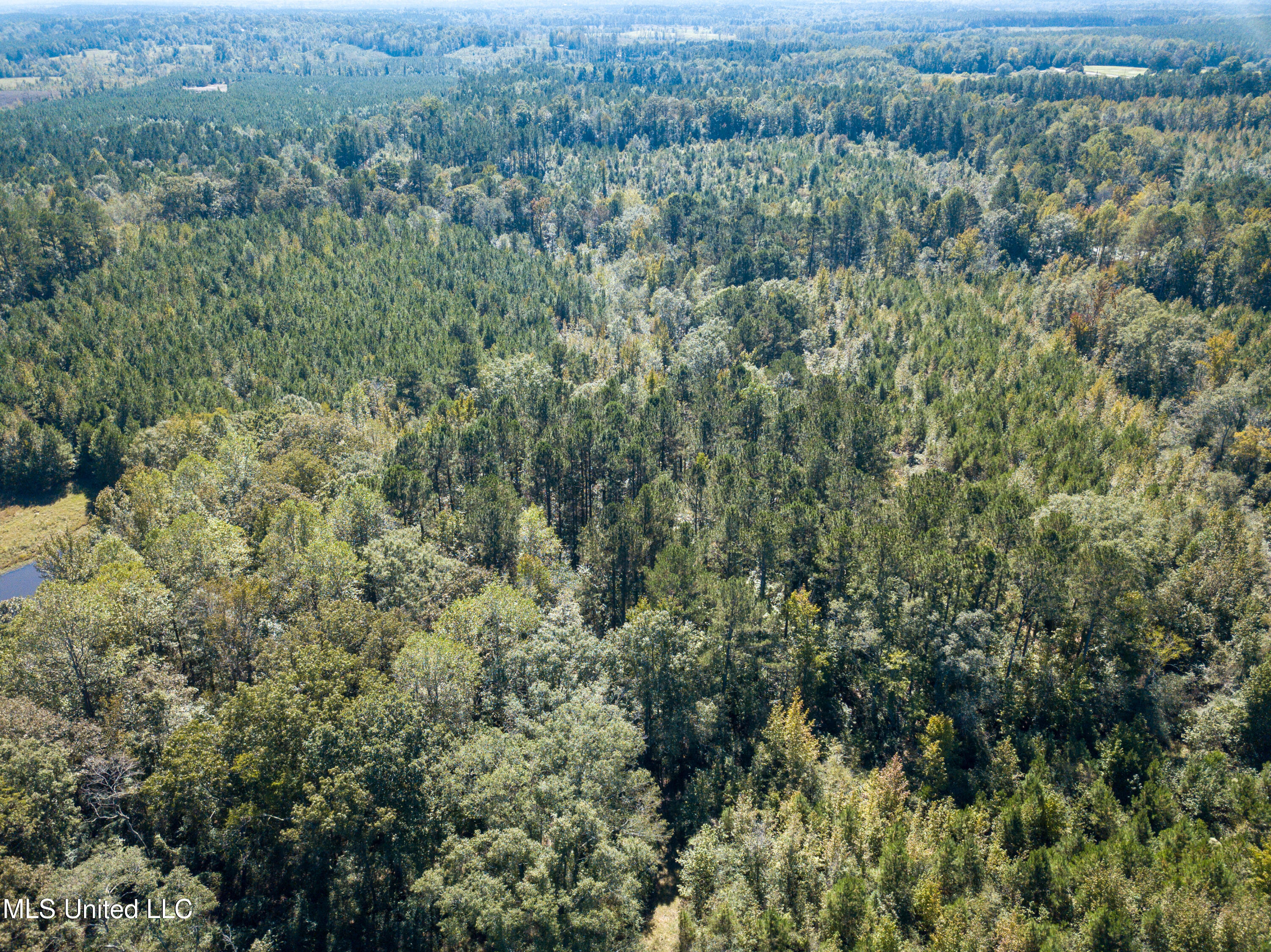 Pine Bluff Road Property Photo 6