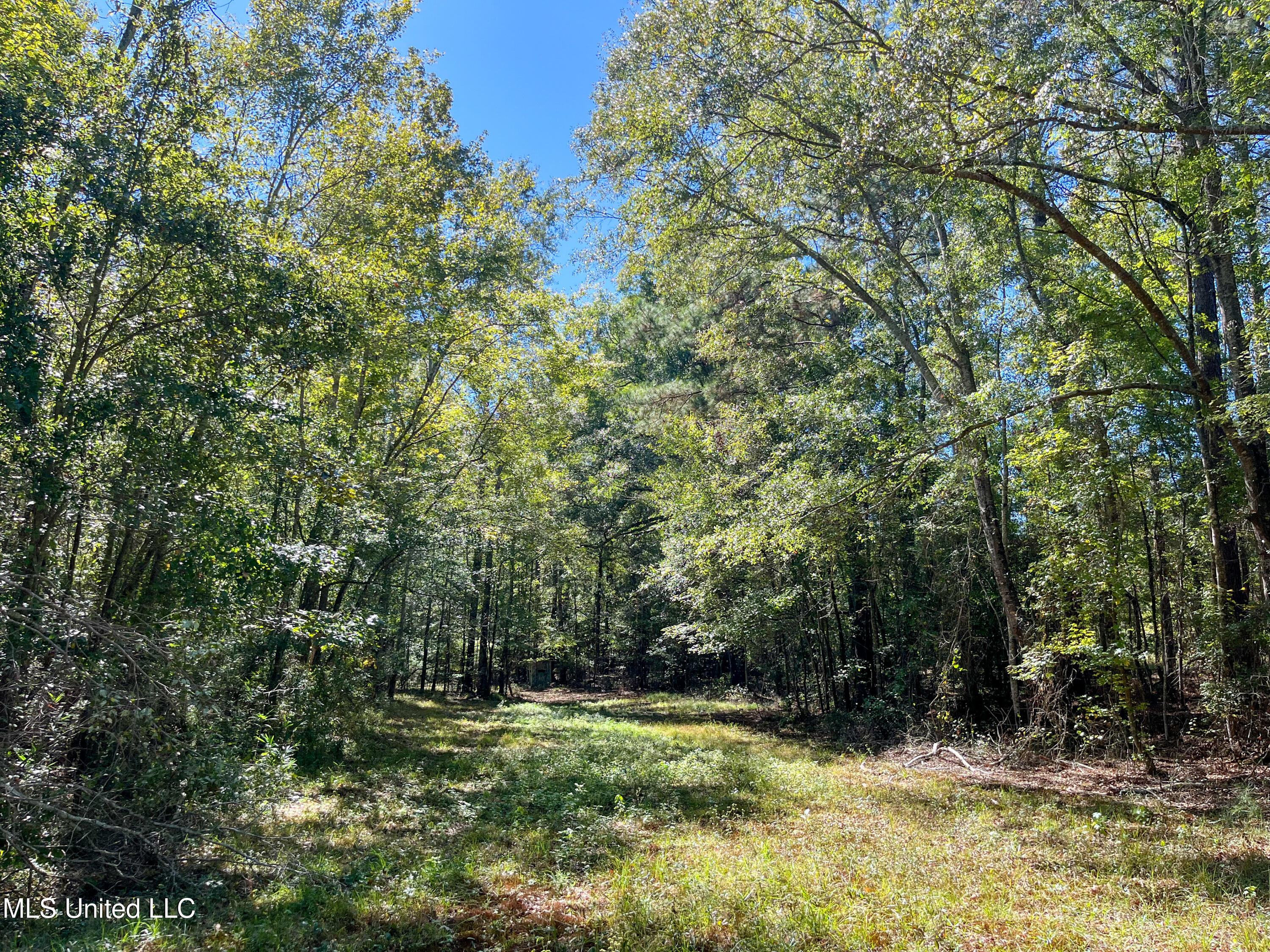 Pine Bluff Road Property Photo 8