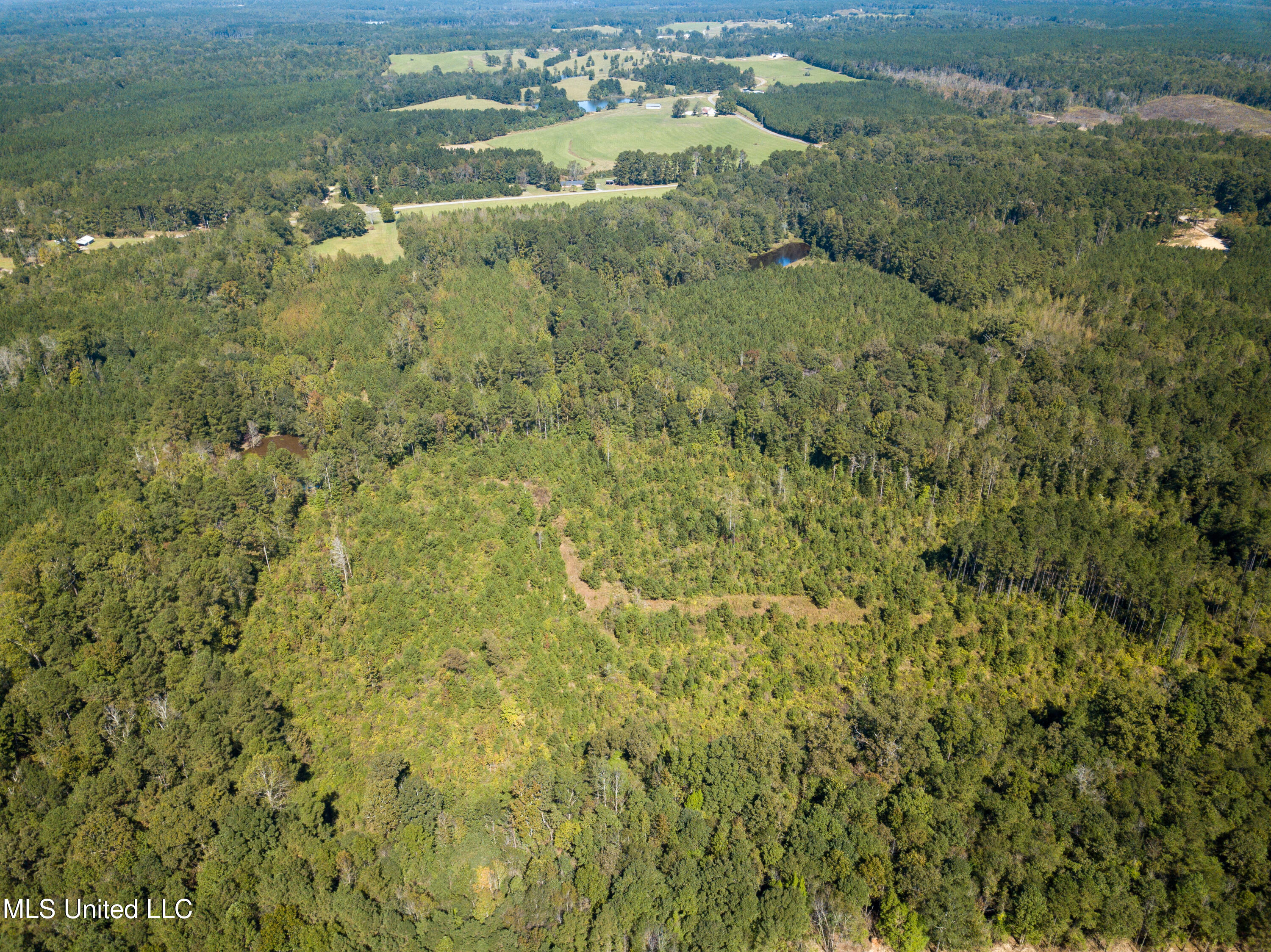 Pine Bluff Road Property Photo 10