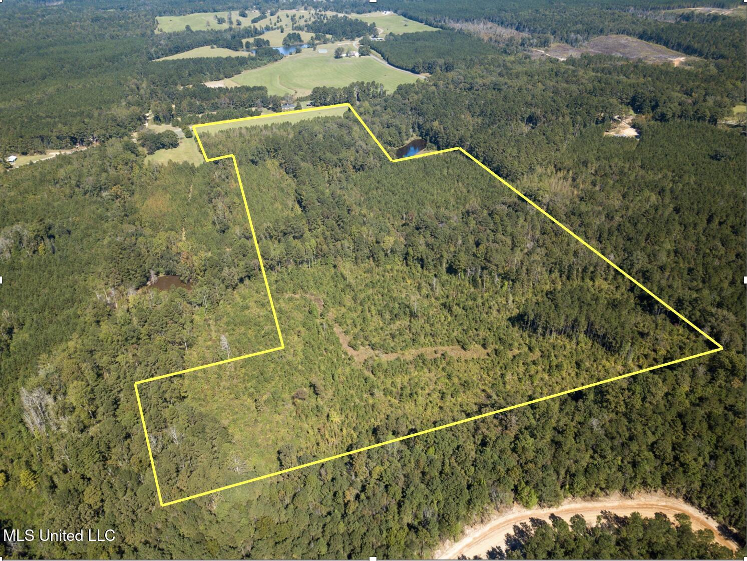 Pine Bluff Road Property Photo 11