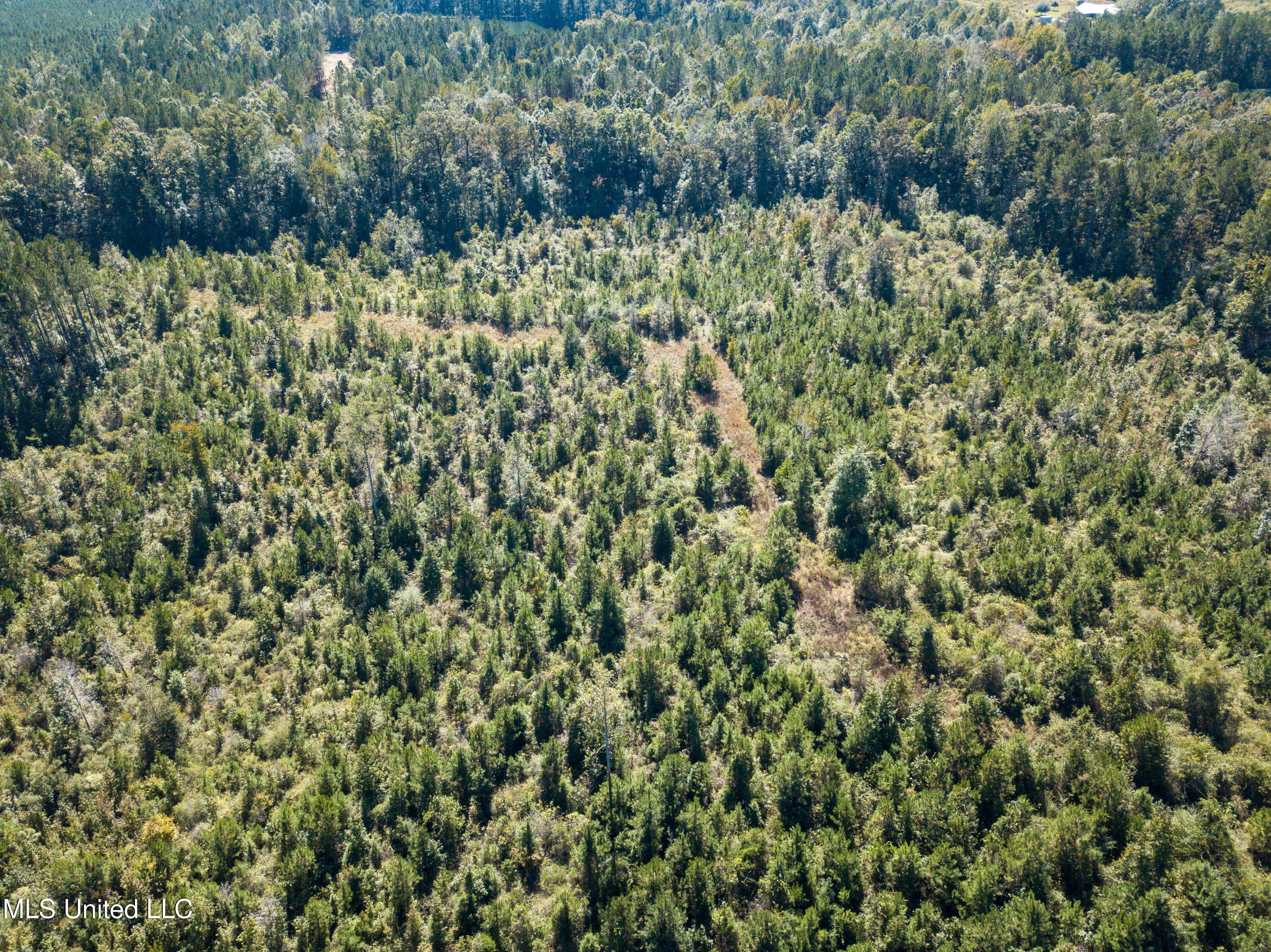 Pine Bluff Road Property Photo 12