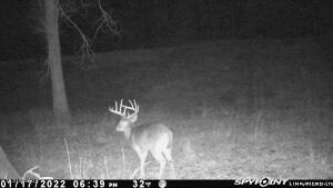 Pine Bluff Road Property Photo 14