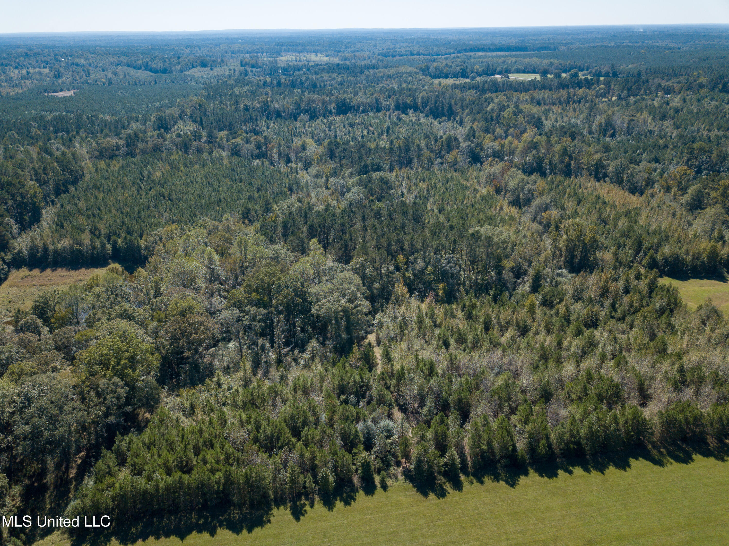 Pine Bluff Road Property Photo 15