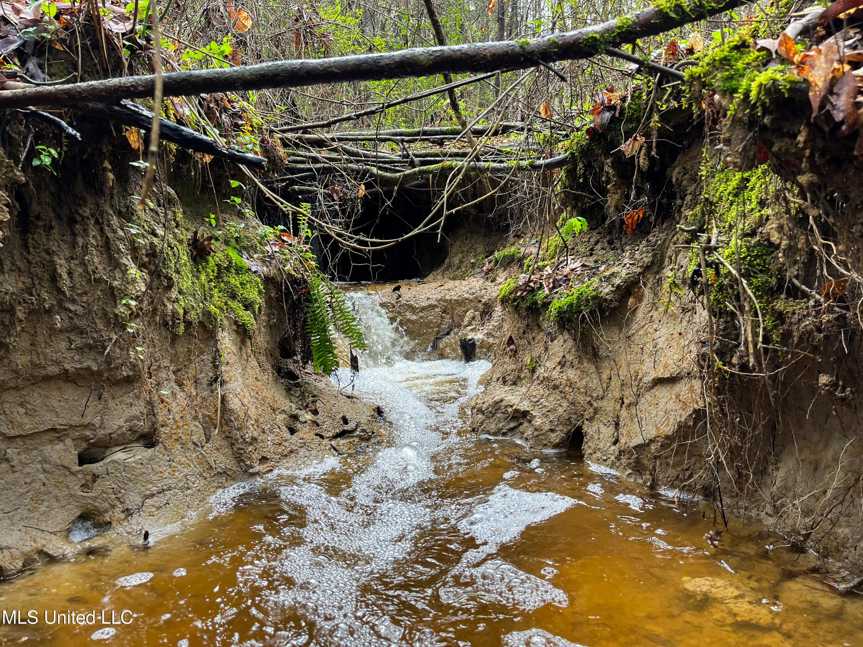 Pine Bluff Road Property Photo 16