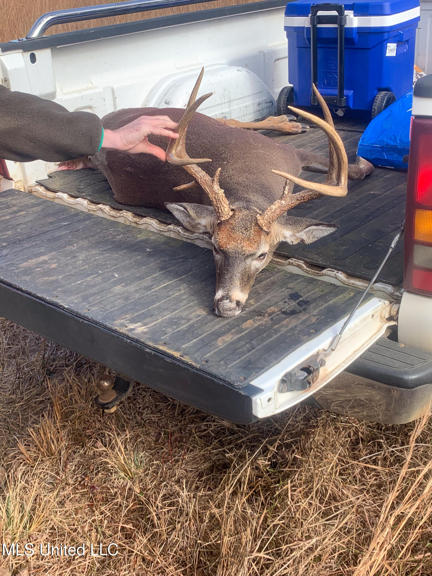 Pine Bluff Road Property Photo 17