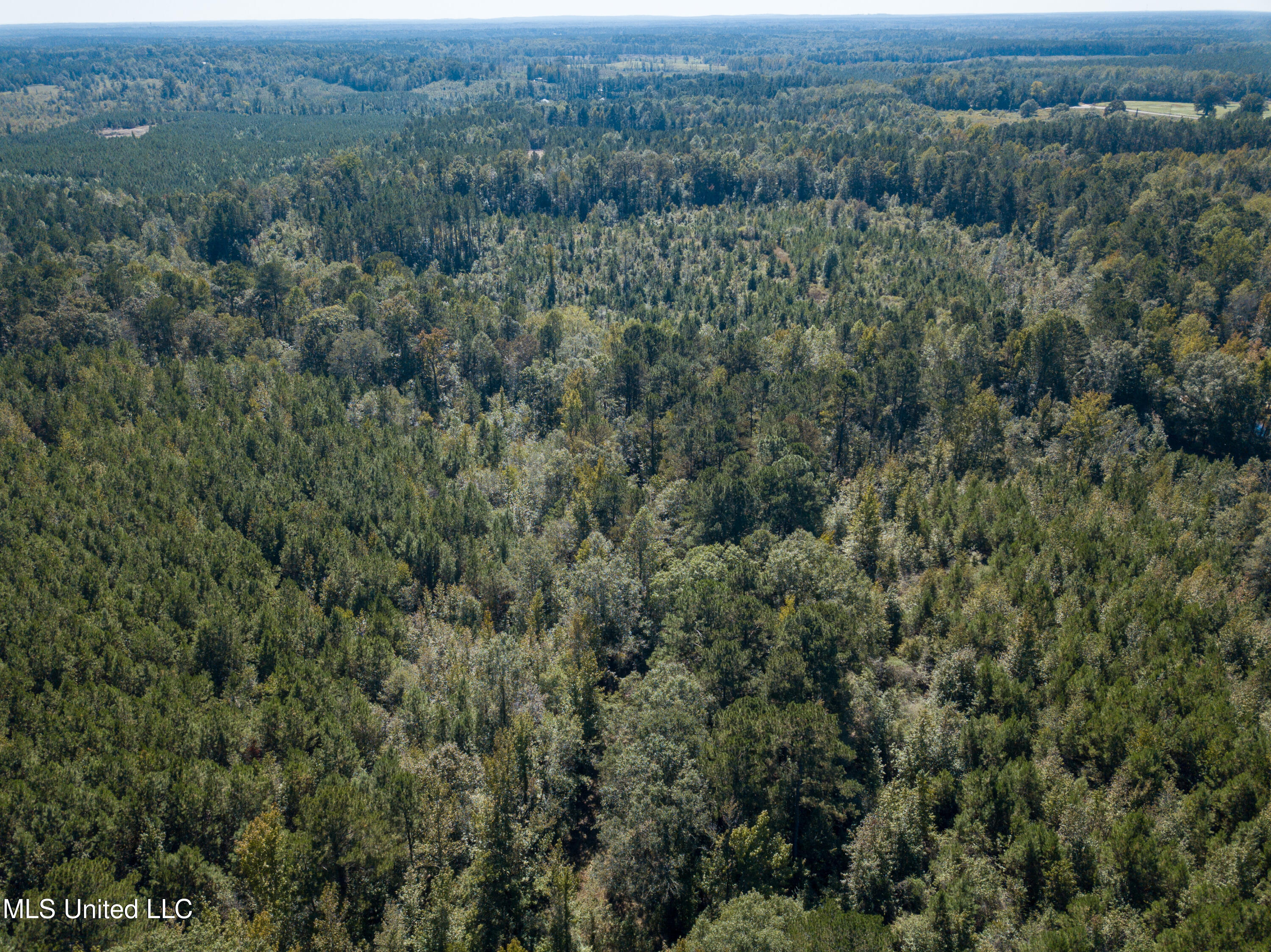 Pine Bluff Road Property Photo 18