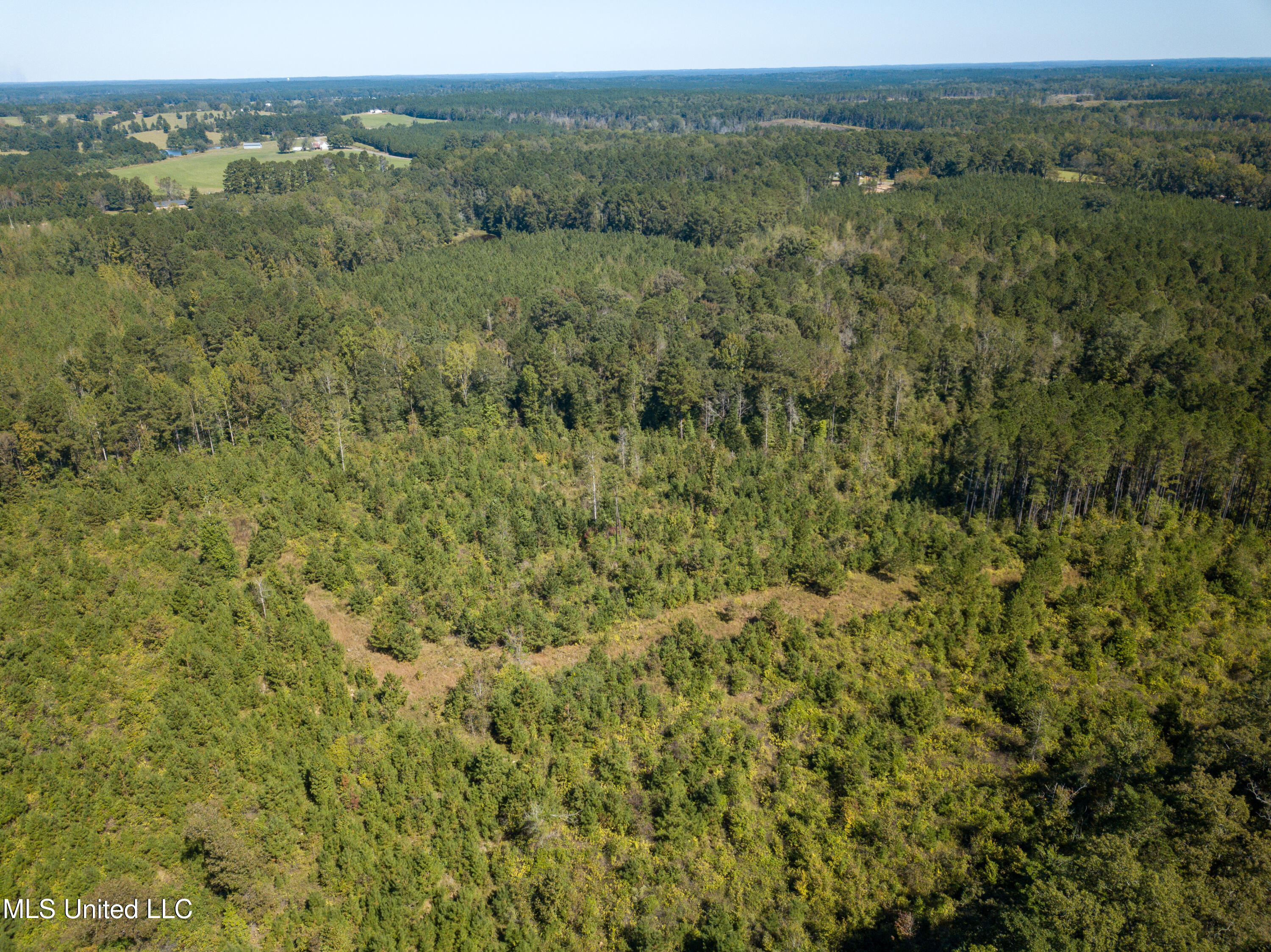 Pine Bluff Road Property Photo 19