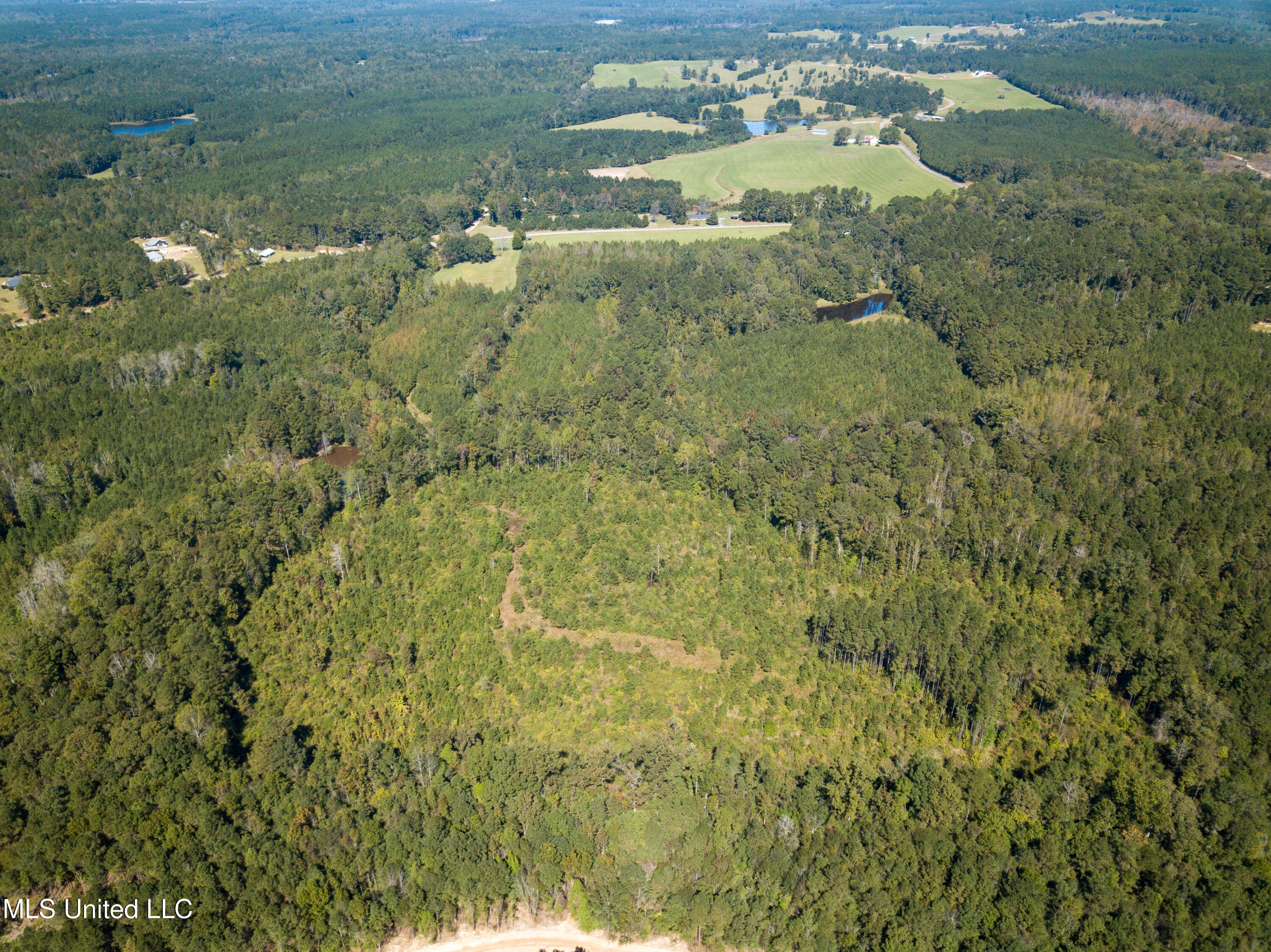 Pine Bluff Road Property Photo 20