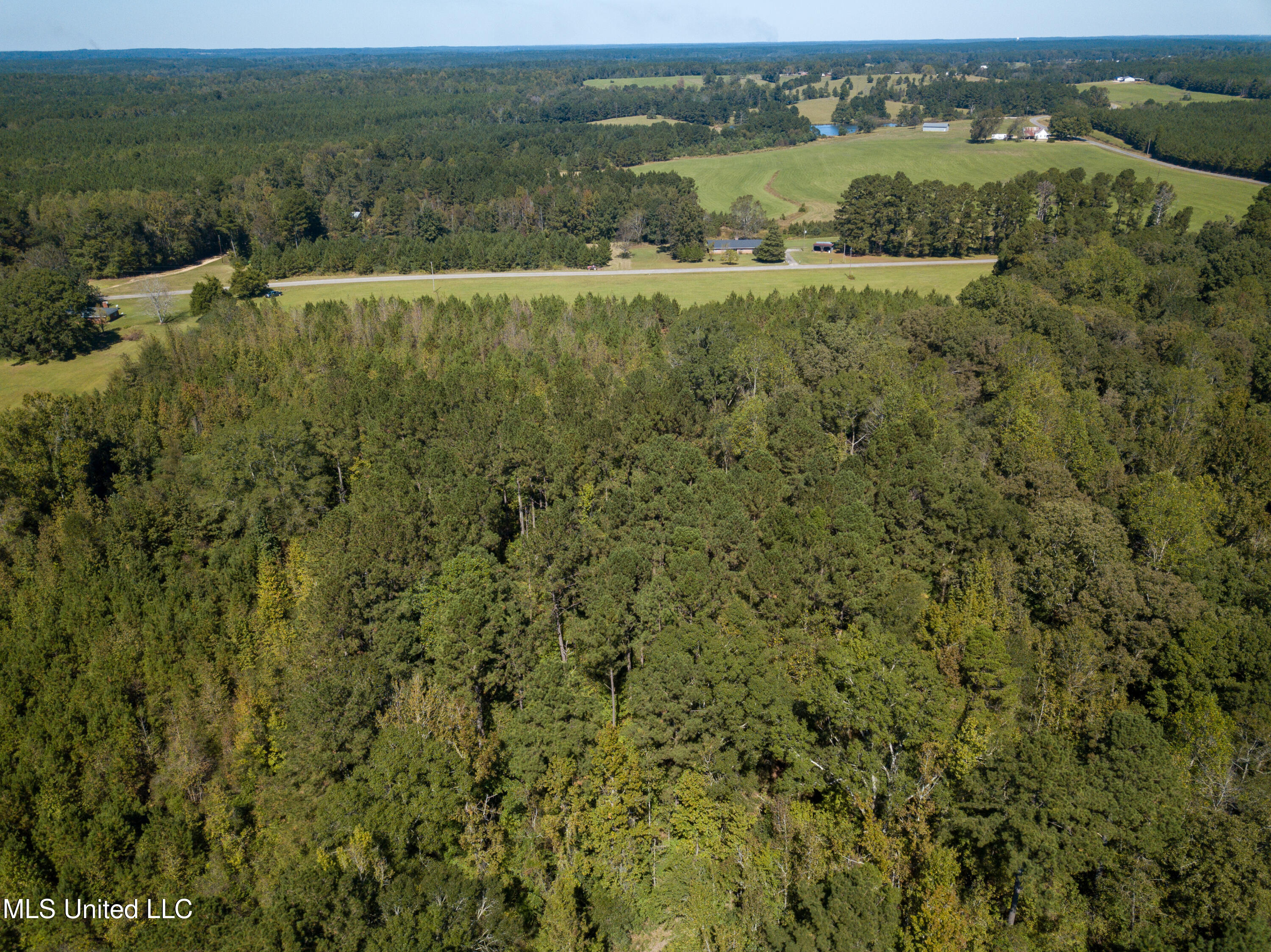 Pine Bluff Road Property Photo 21