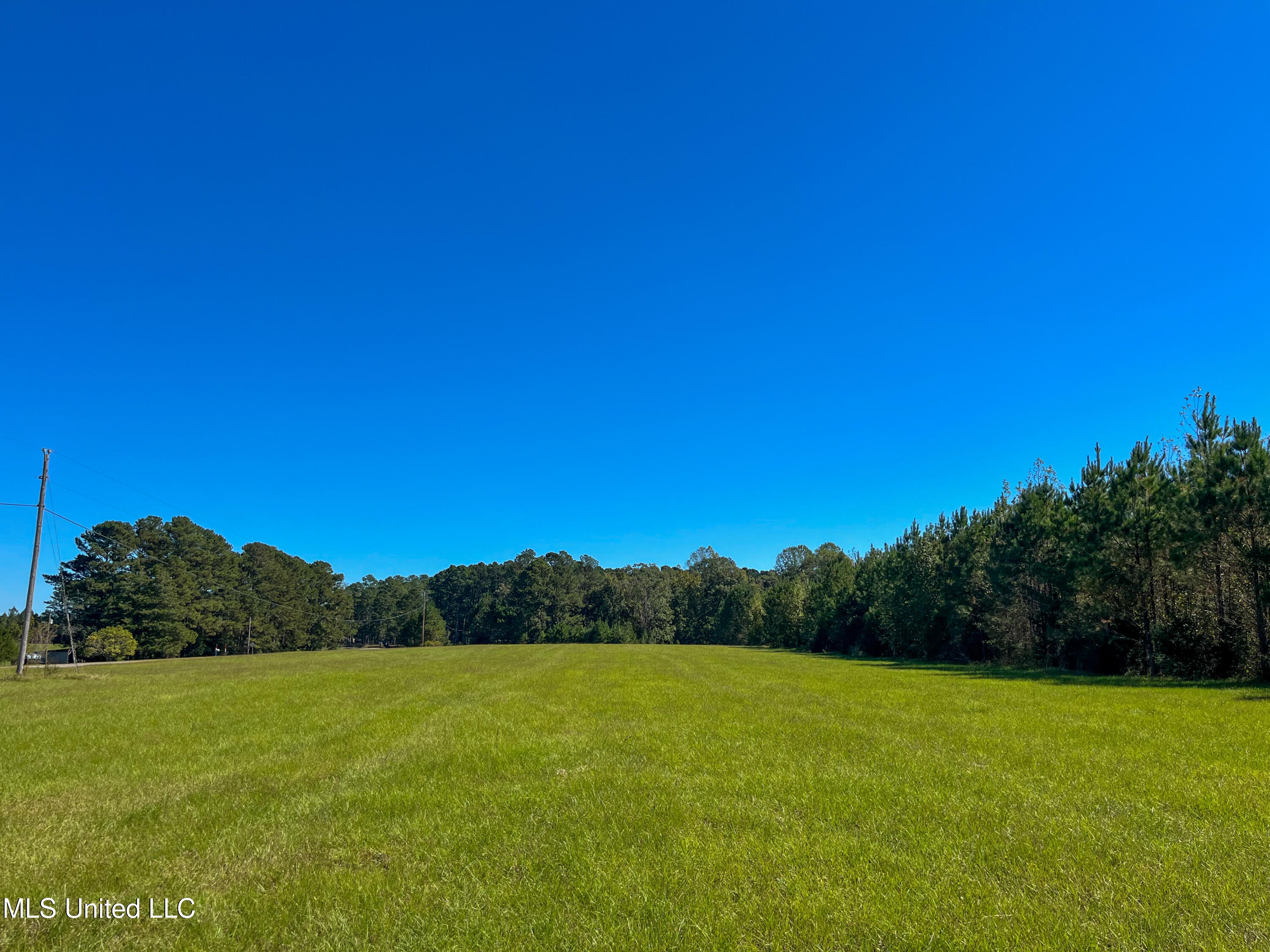 Pine Bluff Road Property Photo 23