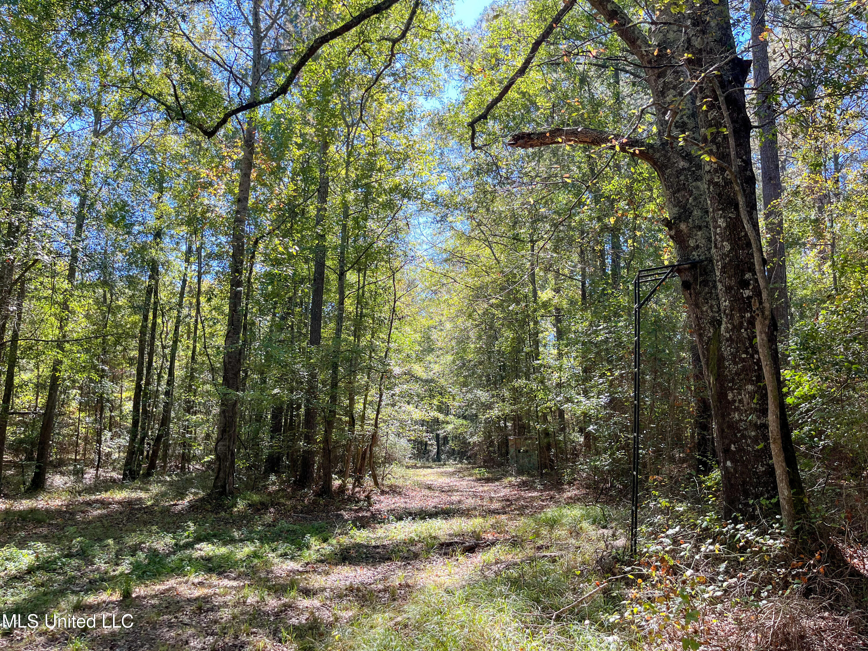 Pine Bluff Road Property Photo 26