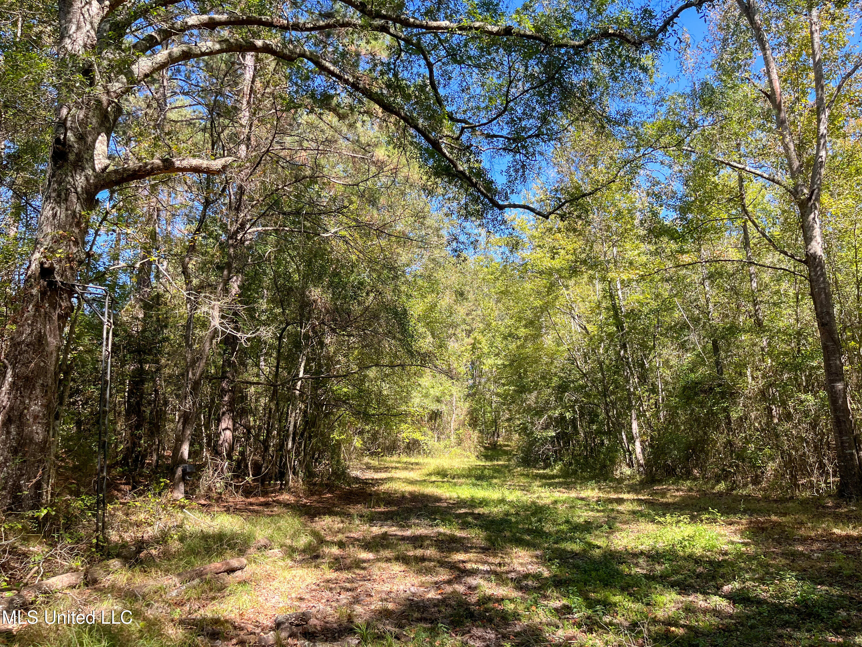 Pine Bluff Road Property Photo 27