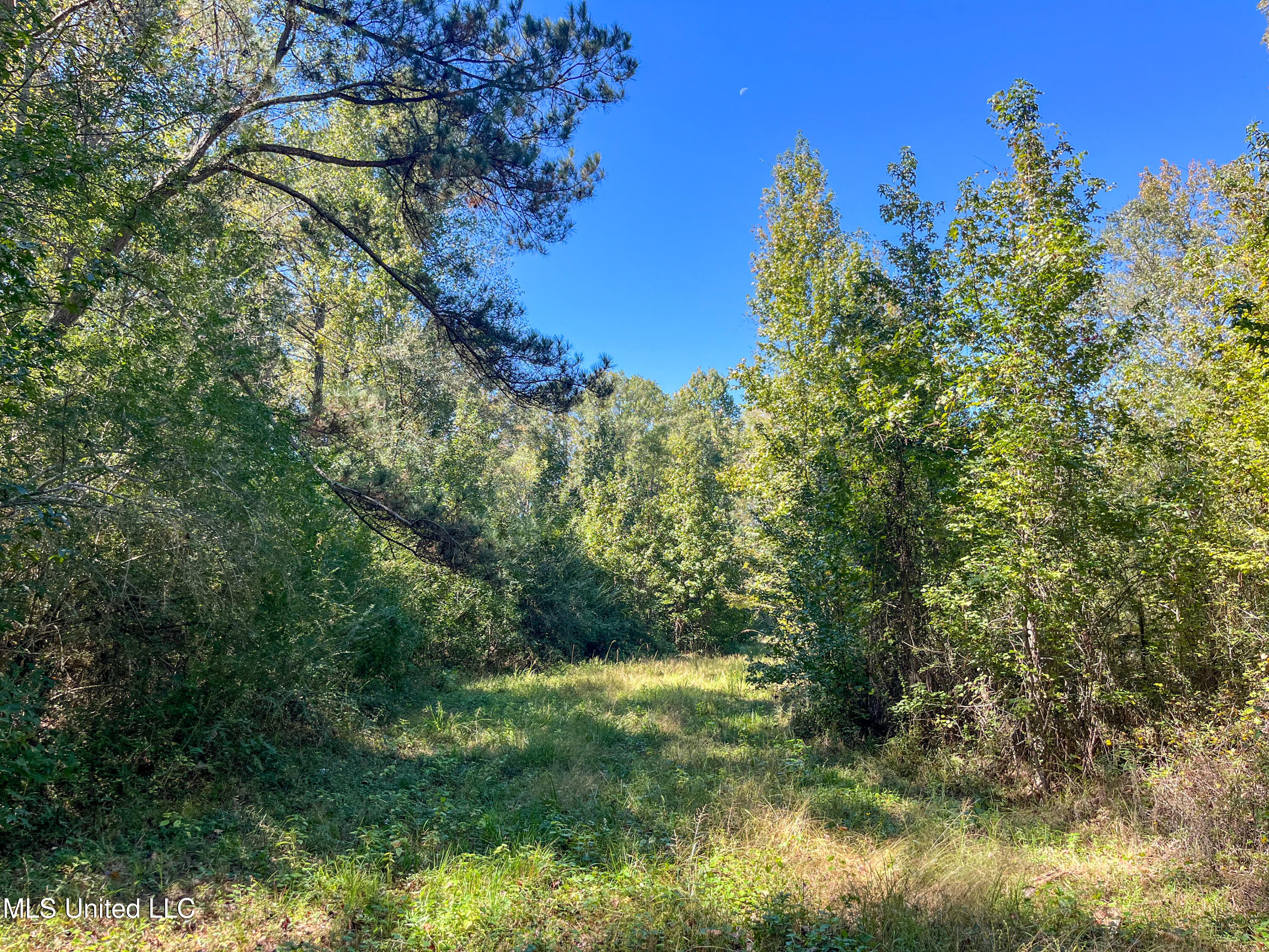 Pine Bluff Road Property Photo 28