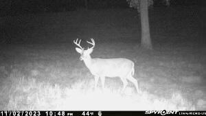 Pine Bluff Road Property Photo 29