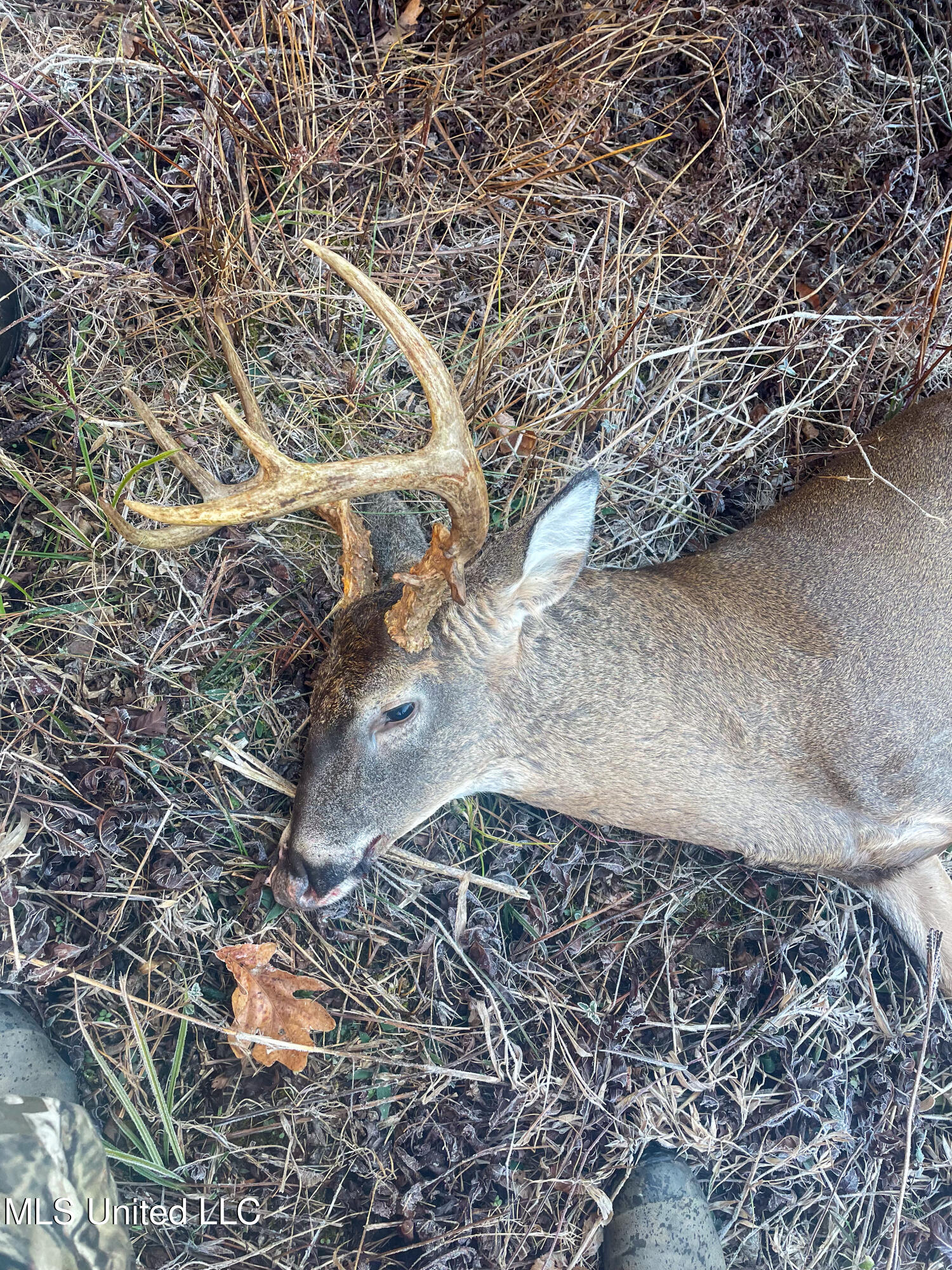 Pine Bluff Road Property Photo 31