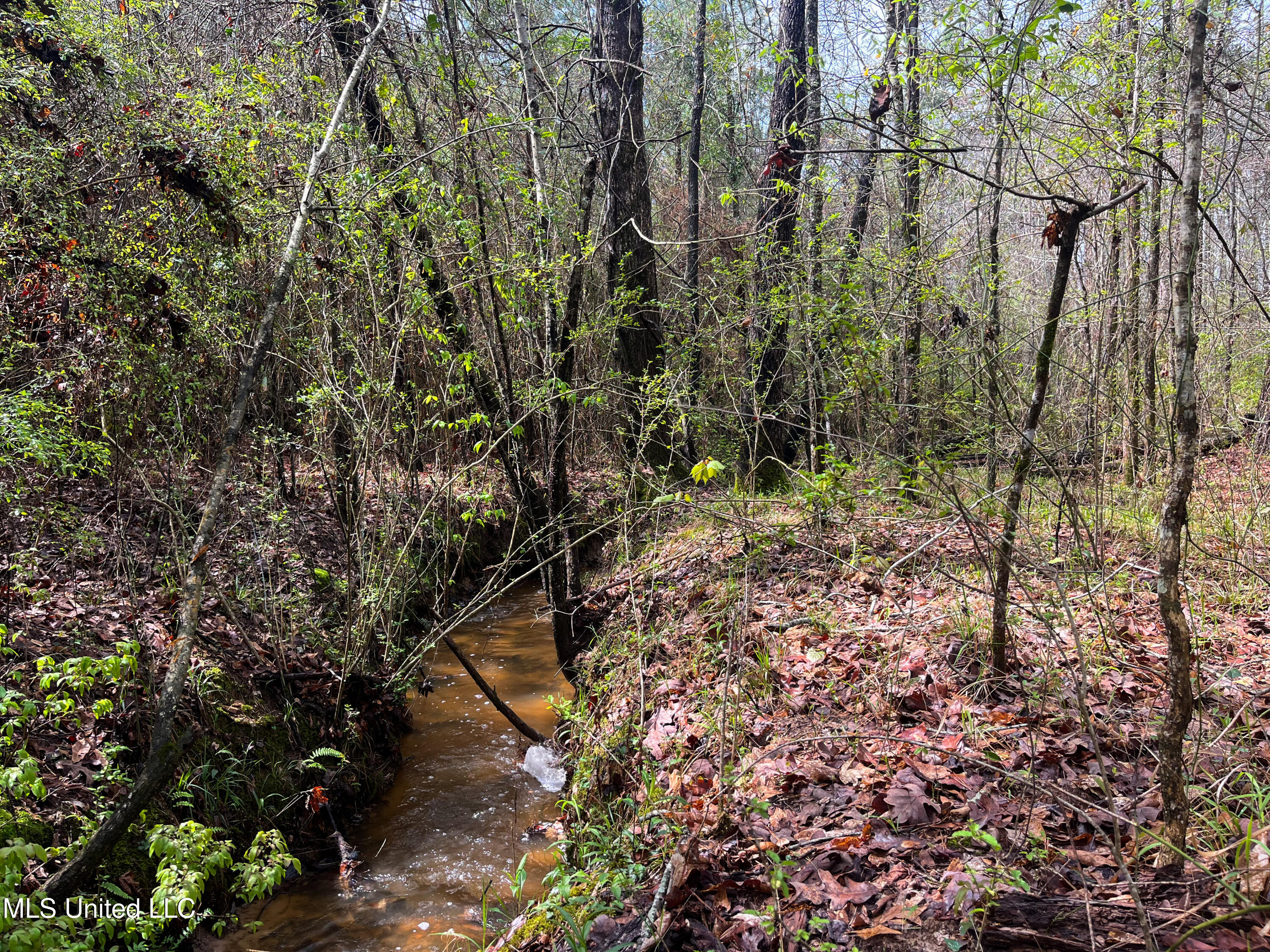 Pine Bluff Road Property Photo 35