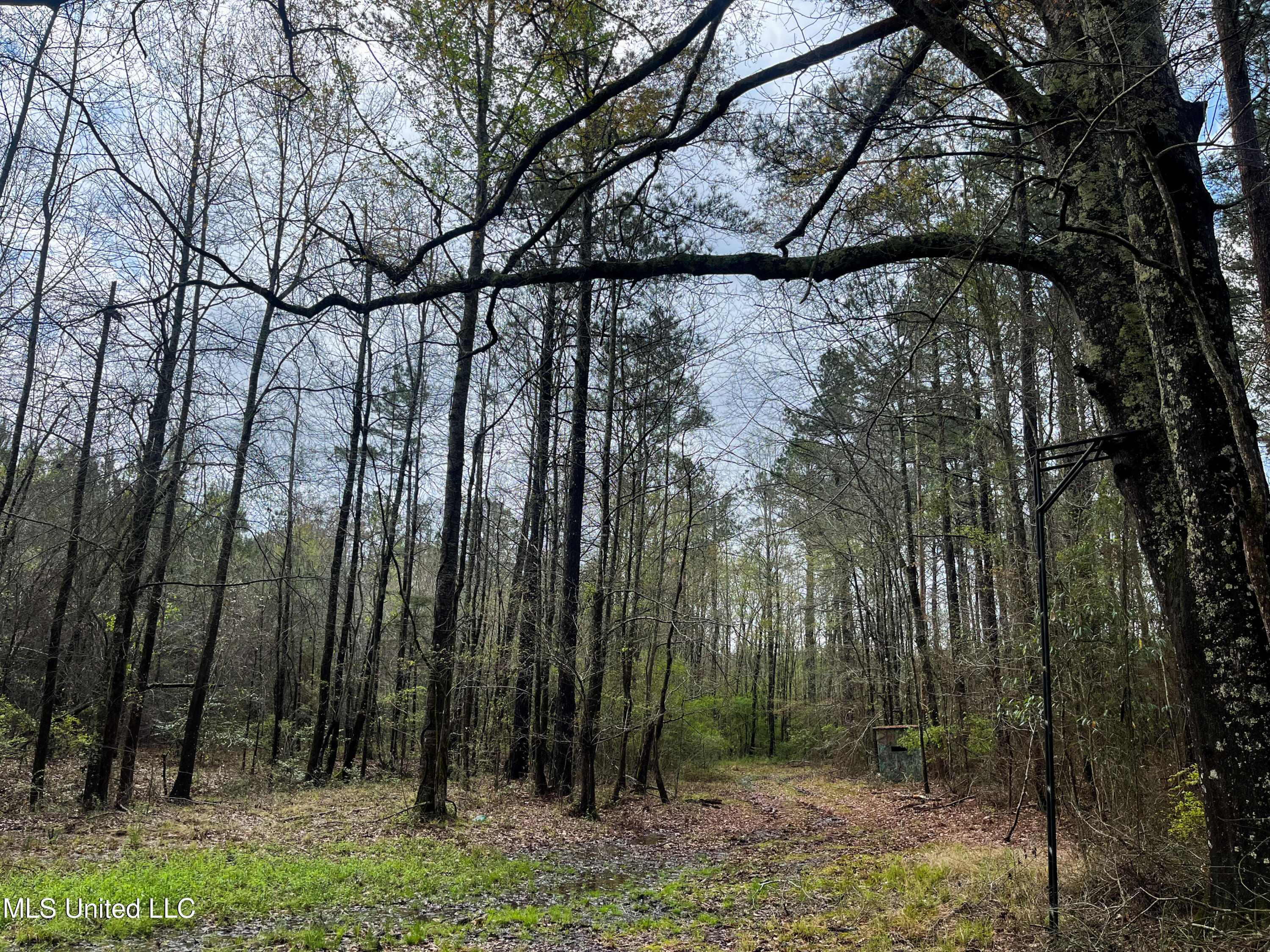 Pine Bluff Road Property Photo 36