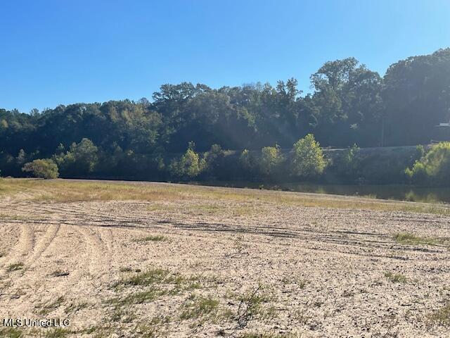 0000 Dillions Bridge Road Property Photo 6