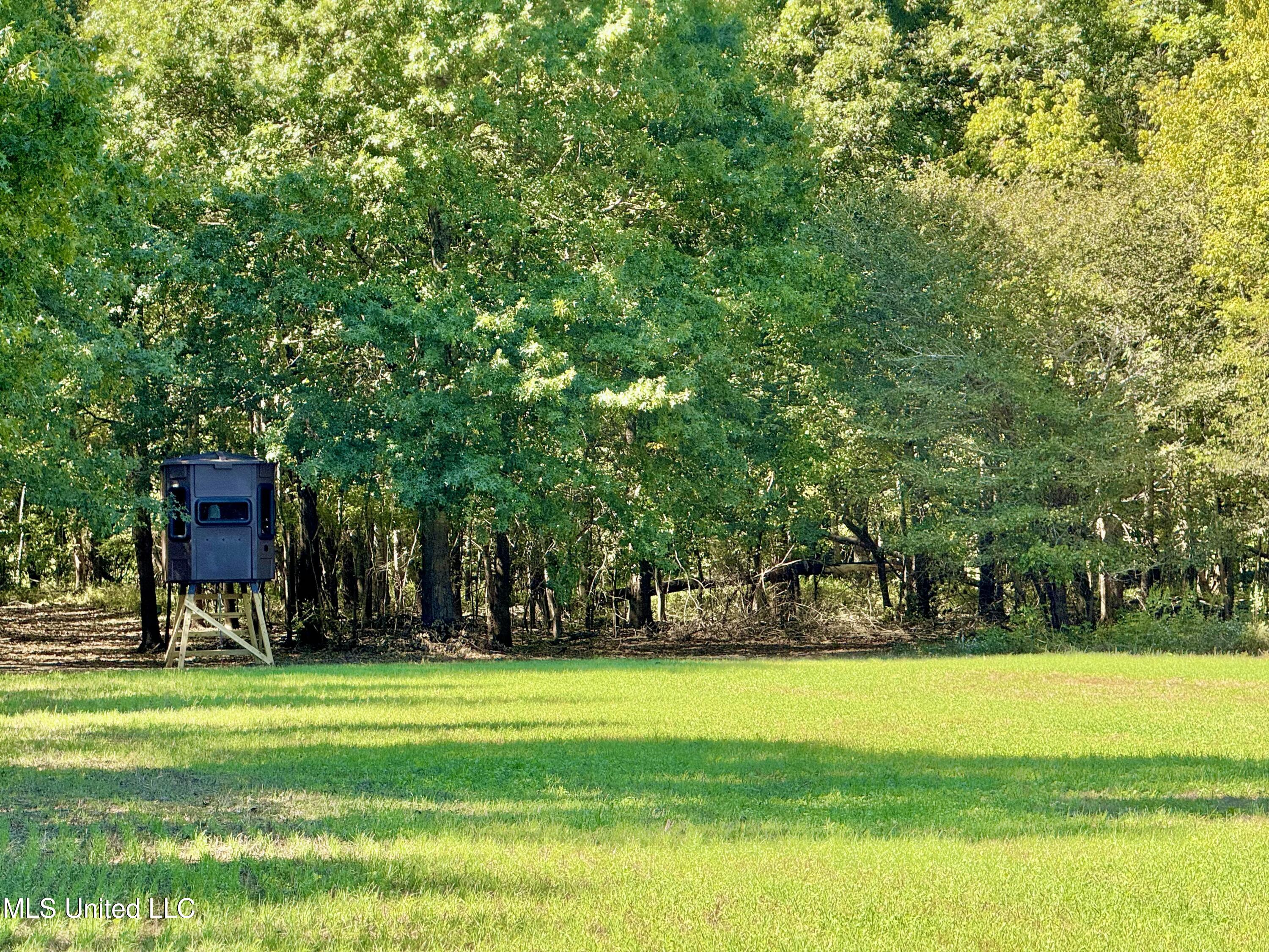 000001 Hwy 16 Property Photo 2