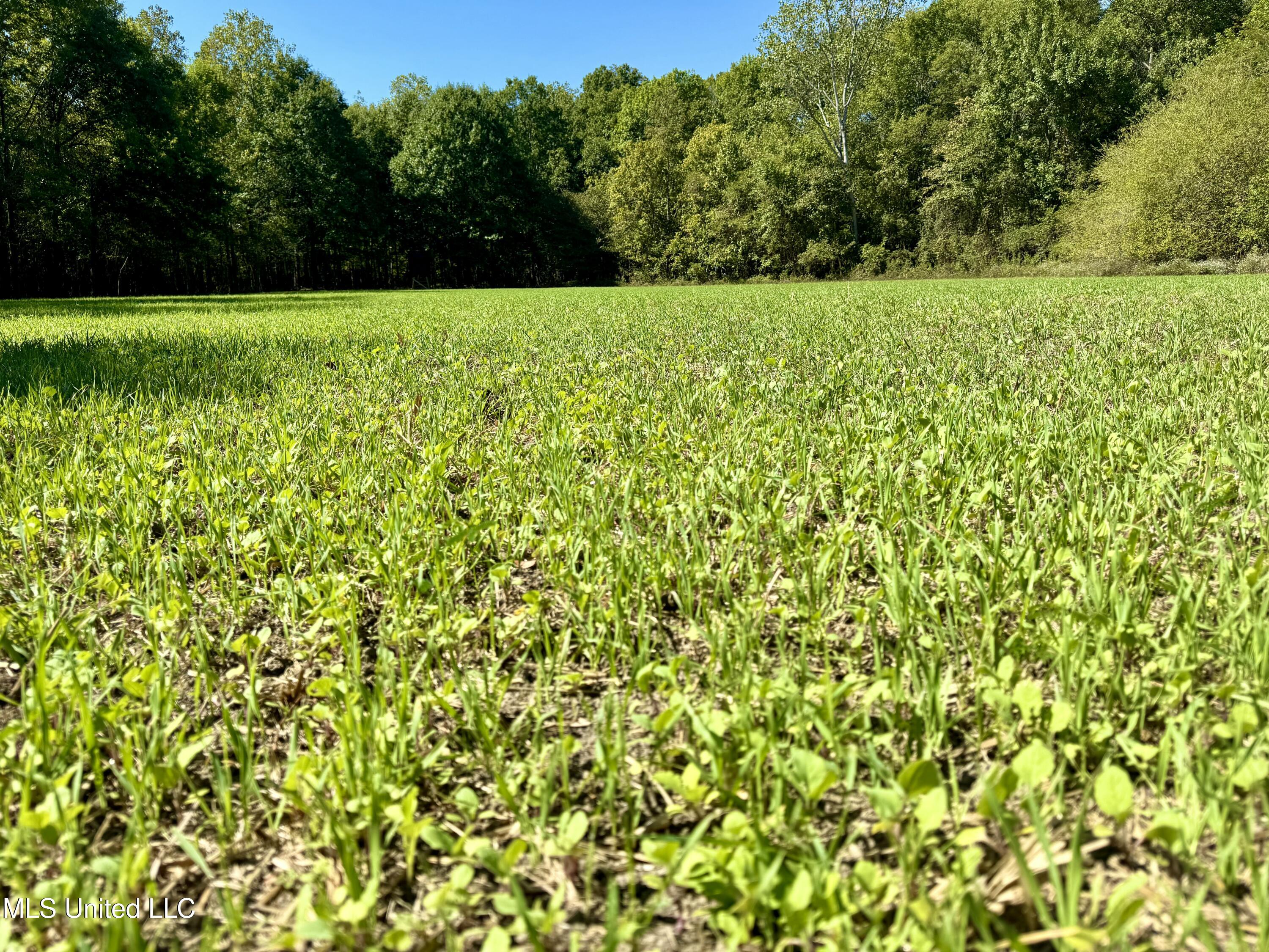 000001 Hwy 16 Property Photo 3