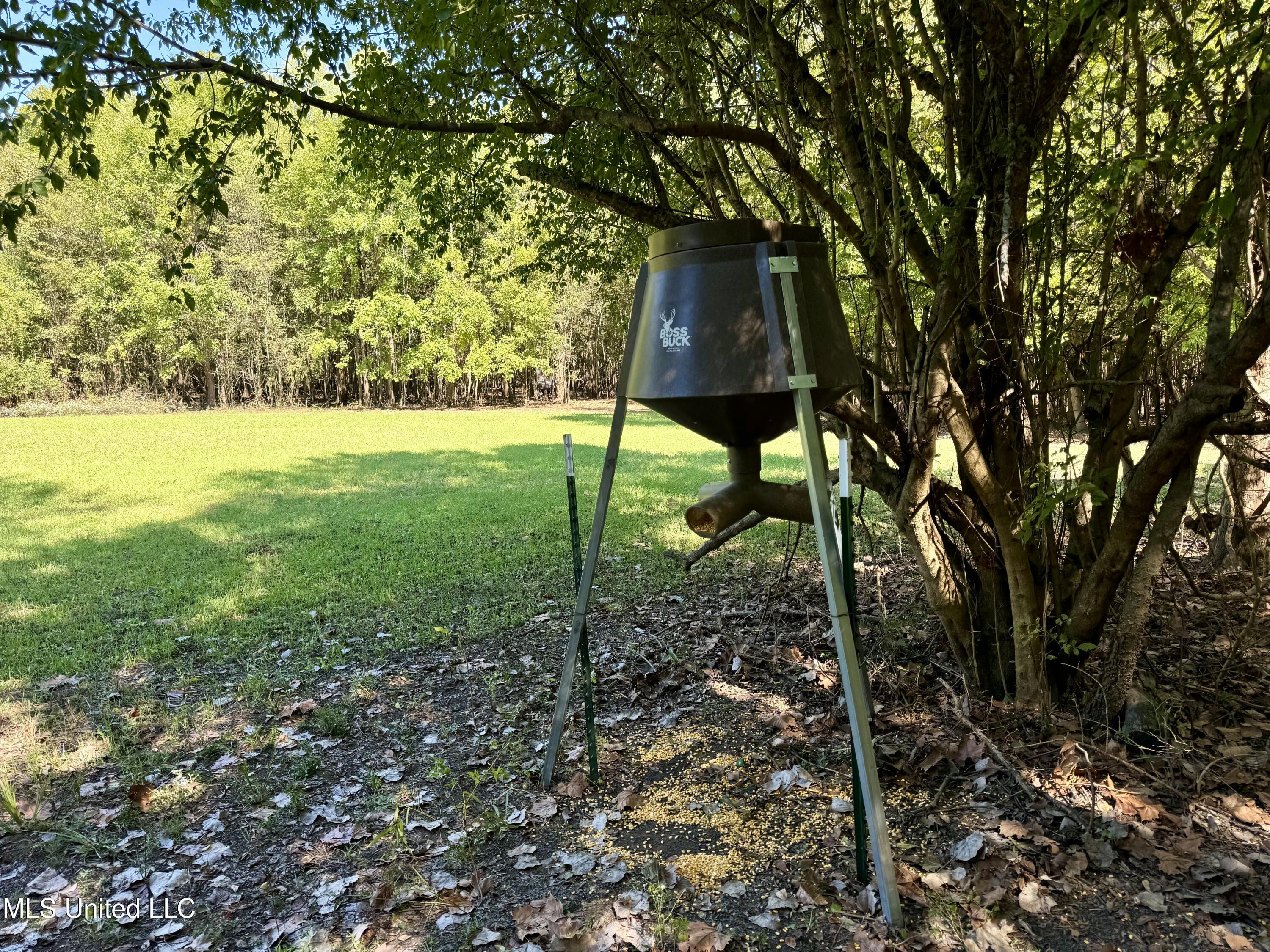 000001 Hwy 16 Property Photo 7