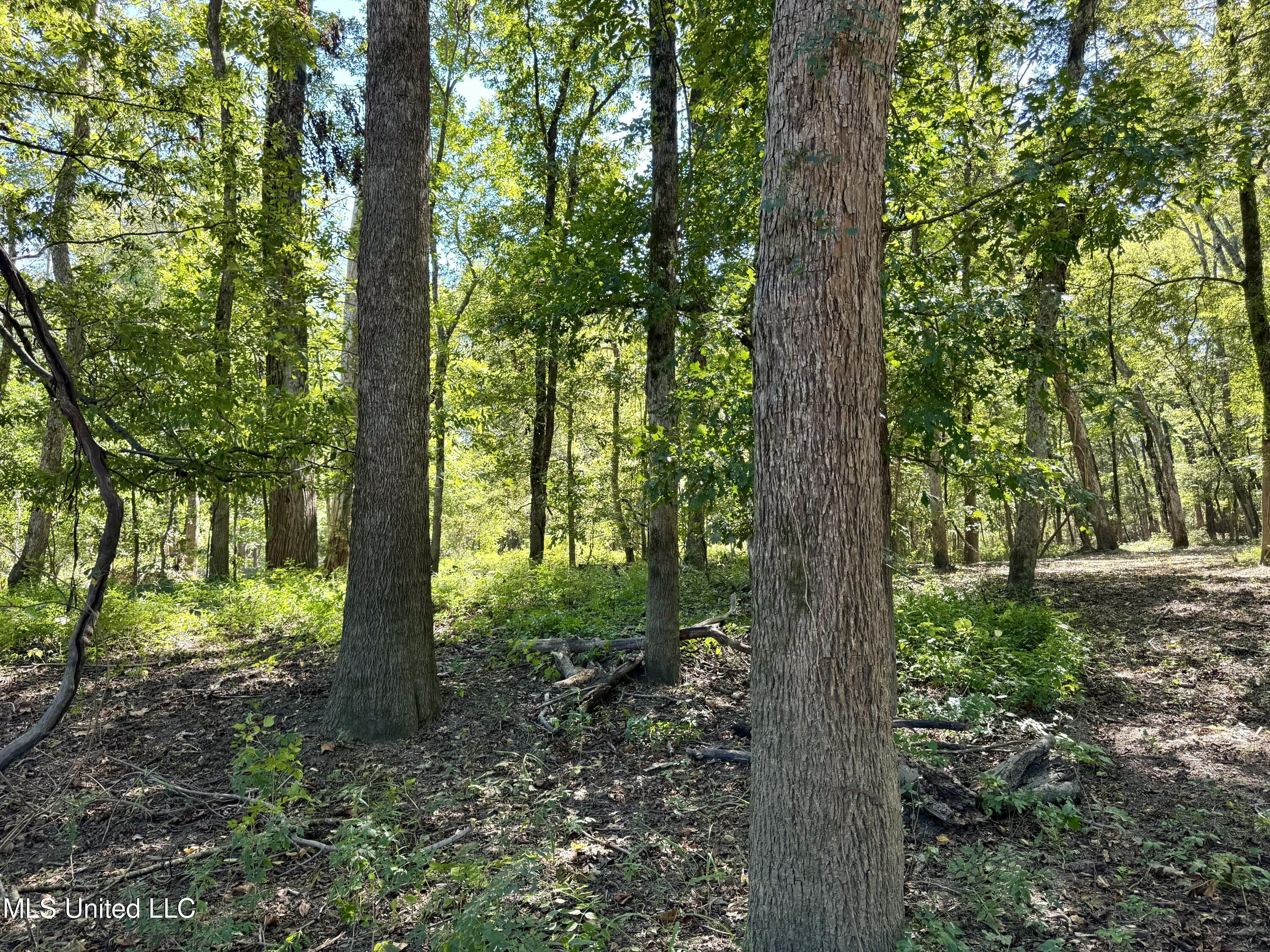 000001 Hwy 16 Property Photo 13