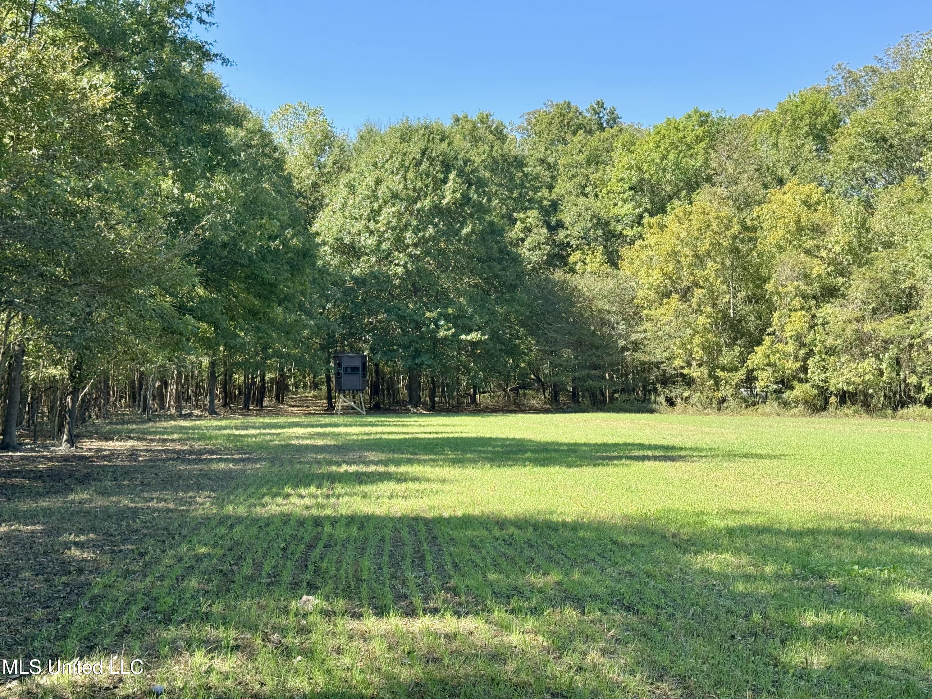 000001 Hwy 16 Property Photo 15