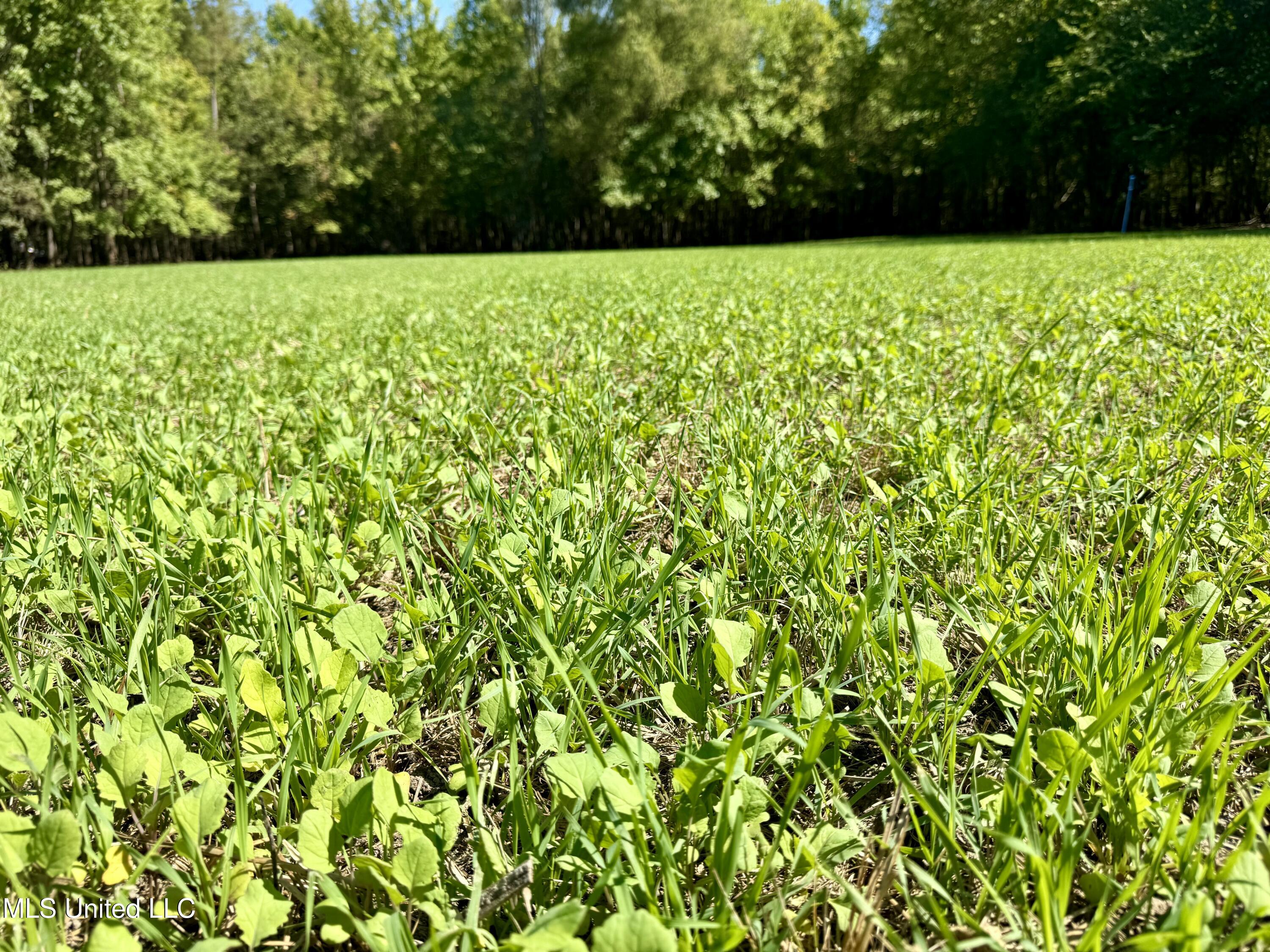 000001 Hwy 16 Property Photo 16