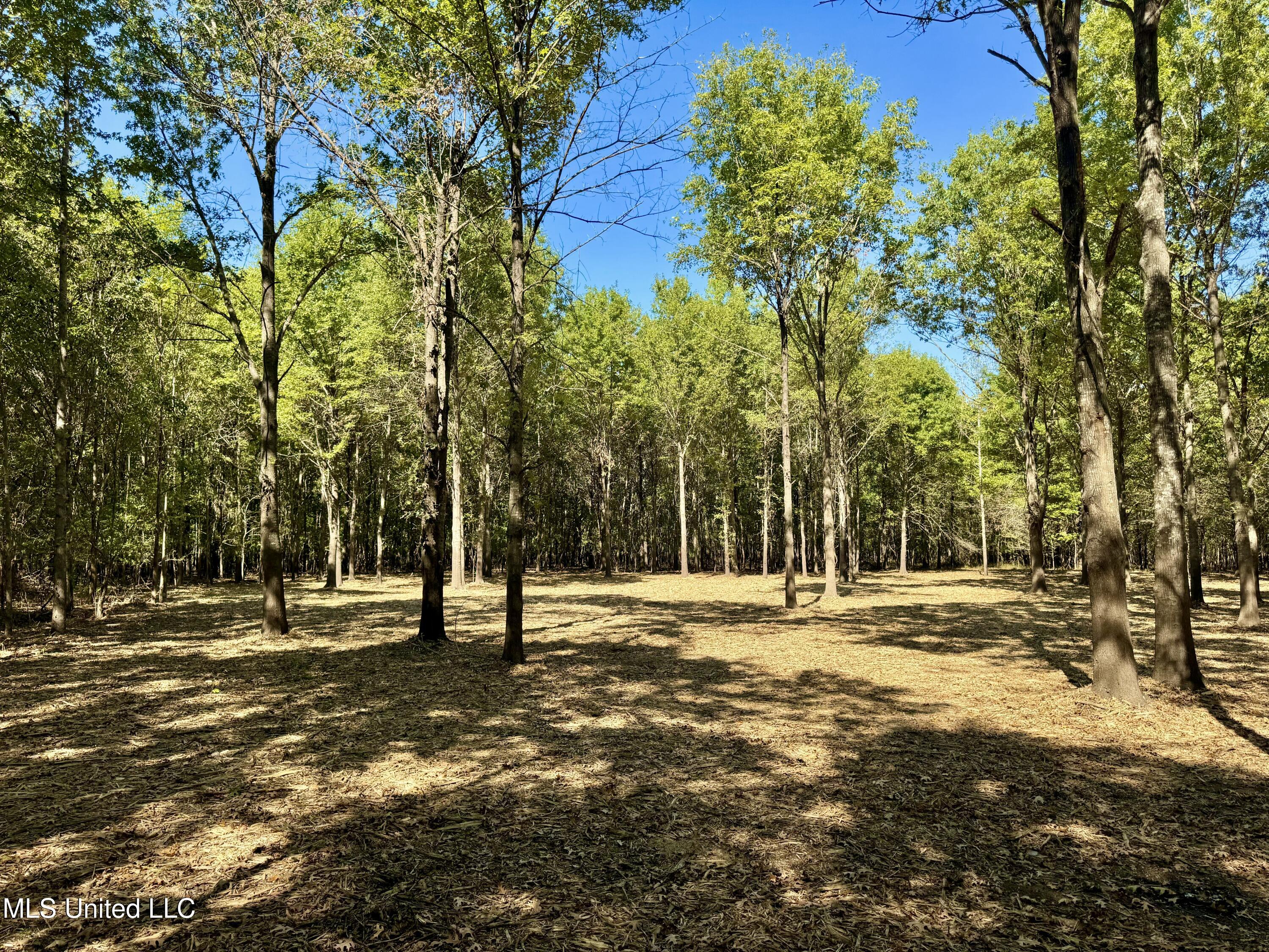 000001 Hwy 16 Property Photo 23