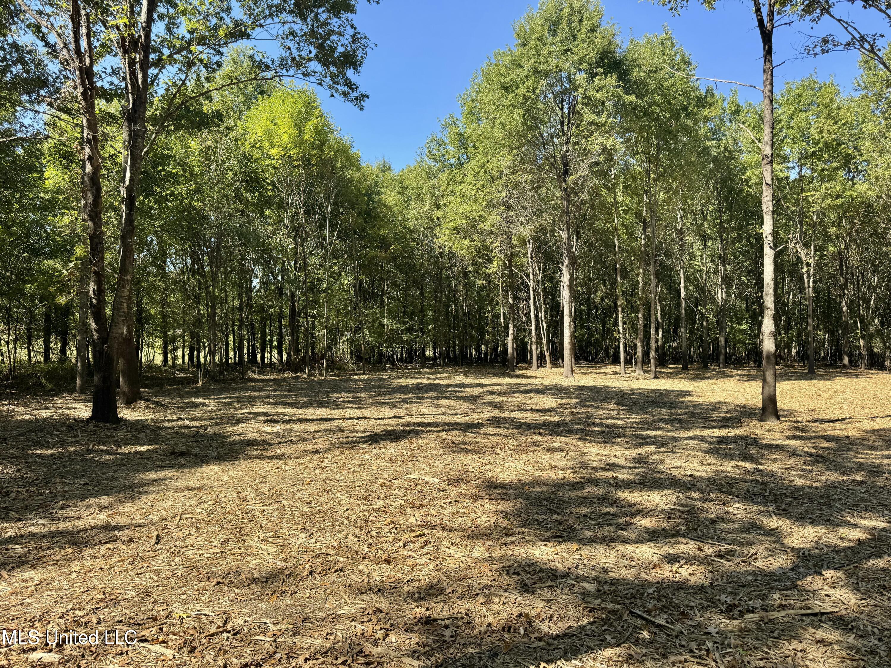 000001 Hwy 16 Property Photo 24