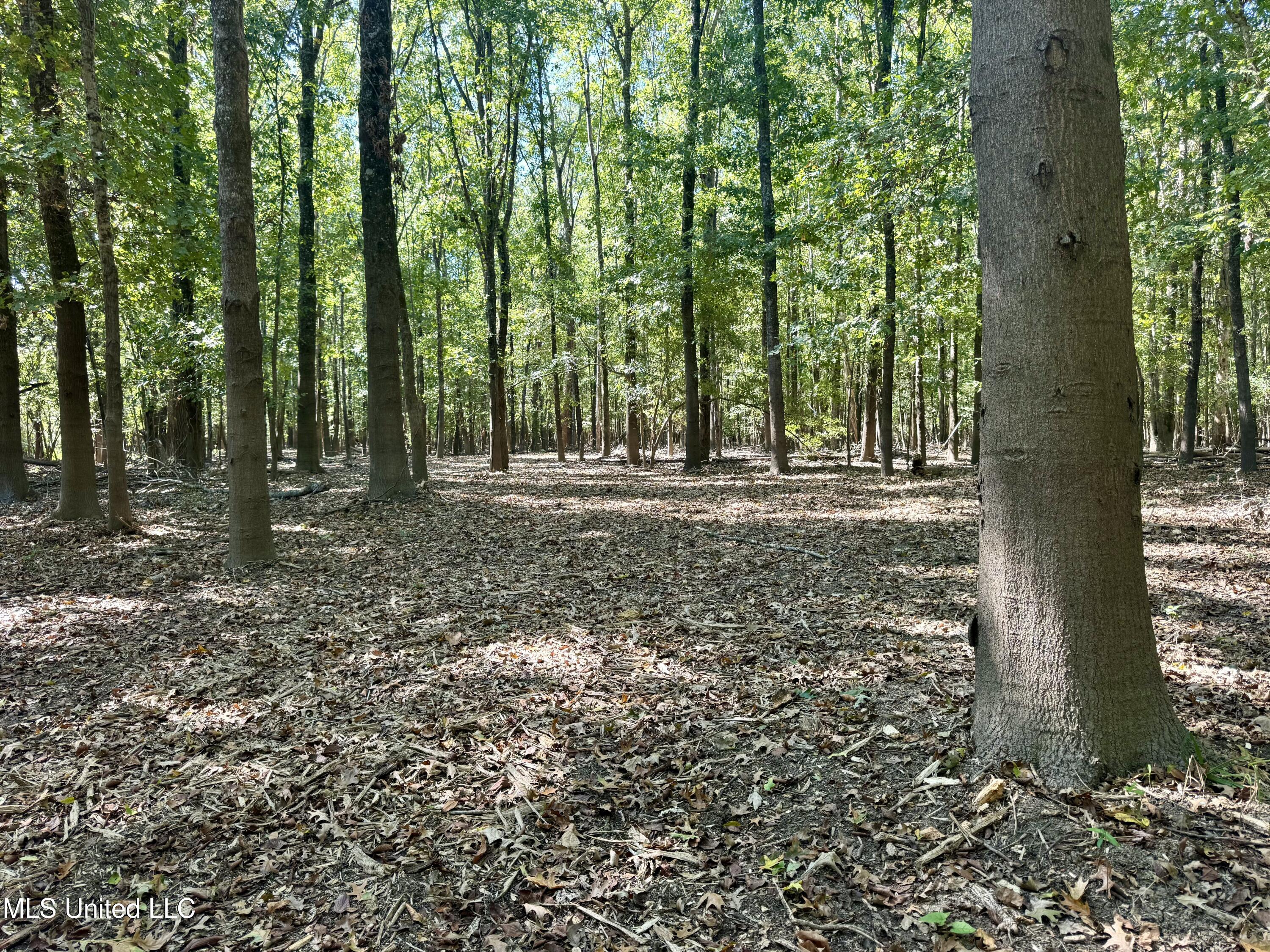 000001 Hwy 16 Property Photo 25